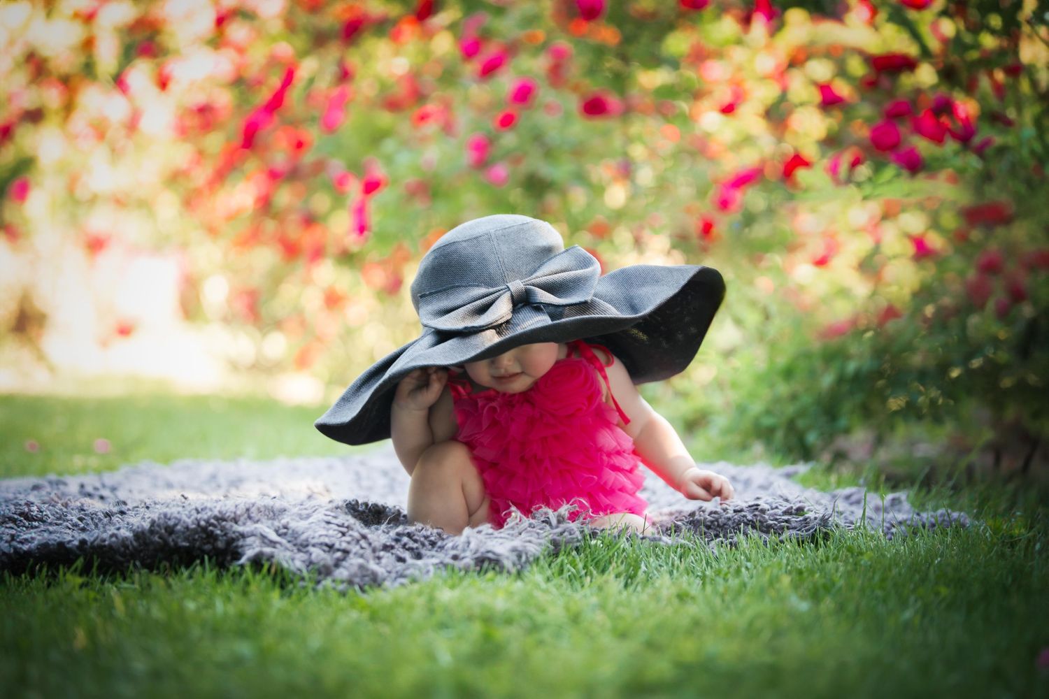 Garden setting with blanket and black hat against pink flowering bushes.
