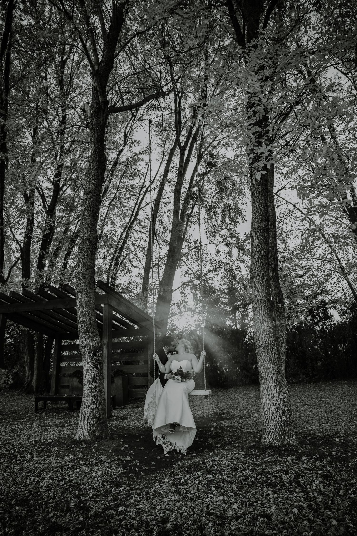 Black and white image of an outdoor wooded area with trees and filtered sunlight.