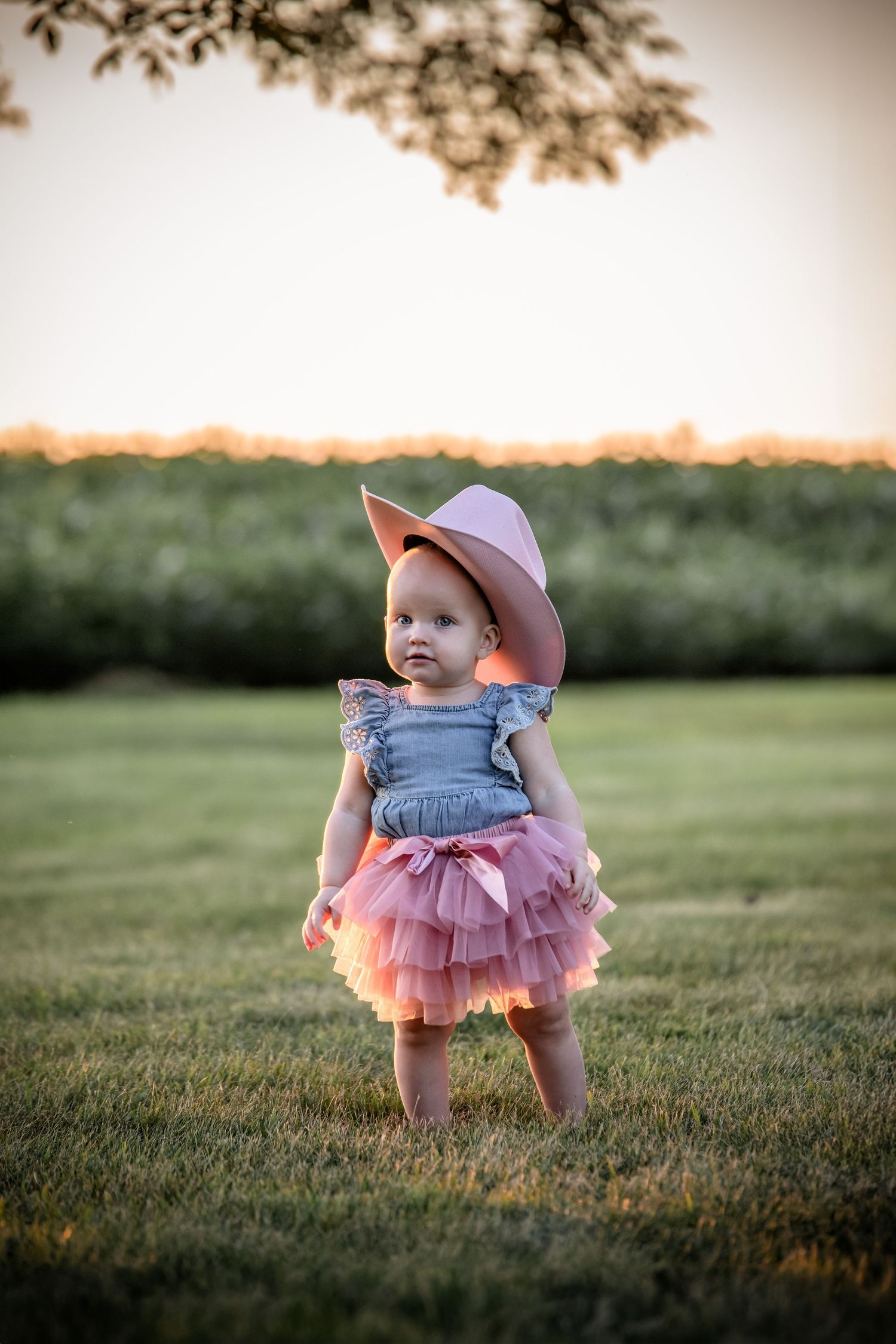 Small child wearing overalls and pink tutu sits in grass during golden hour.