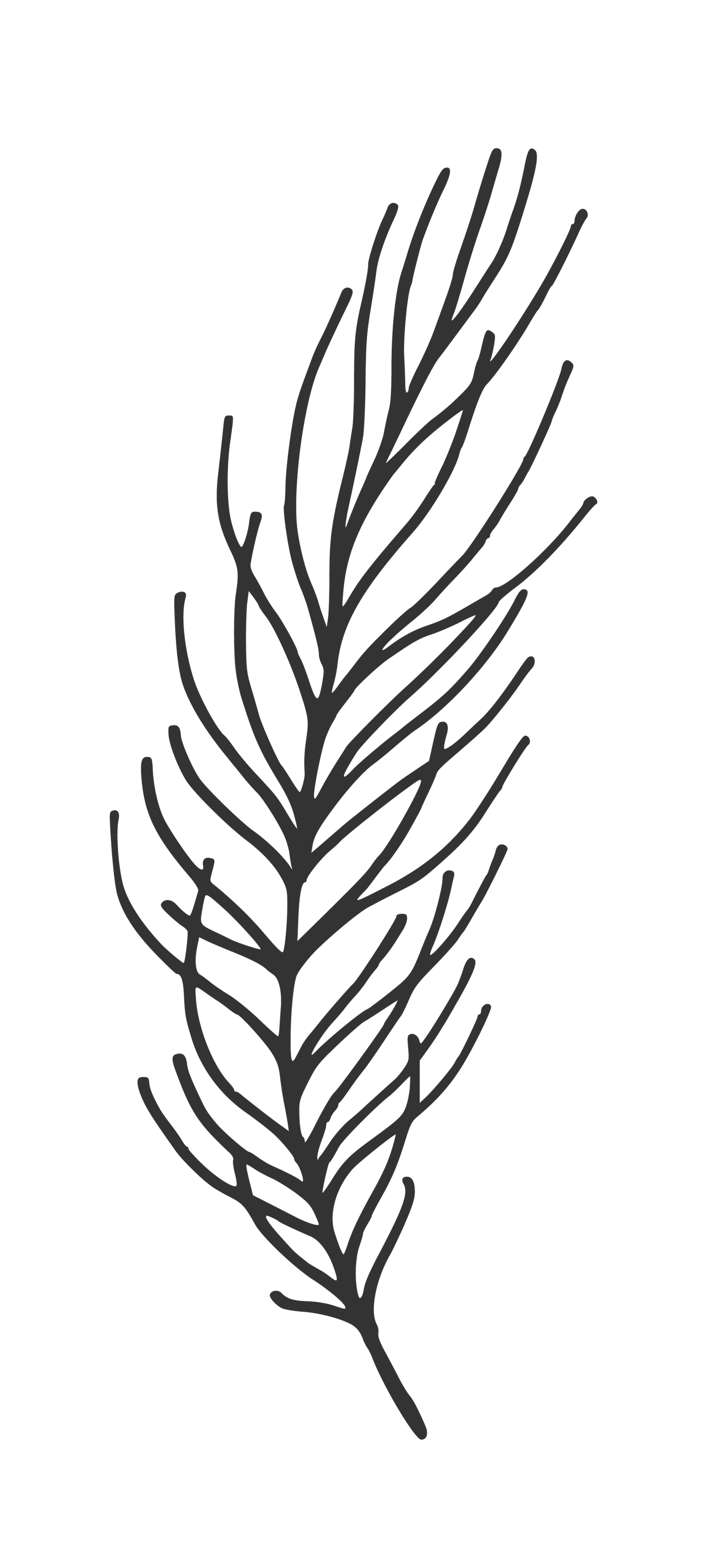 Black and white line drawings of branching tree patterns.