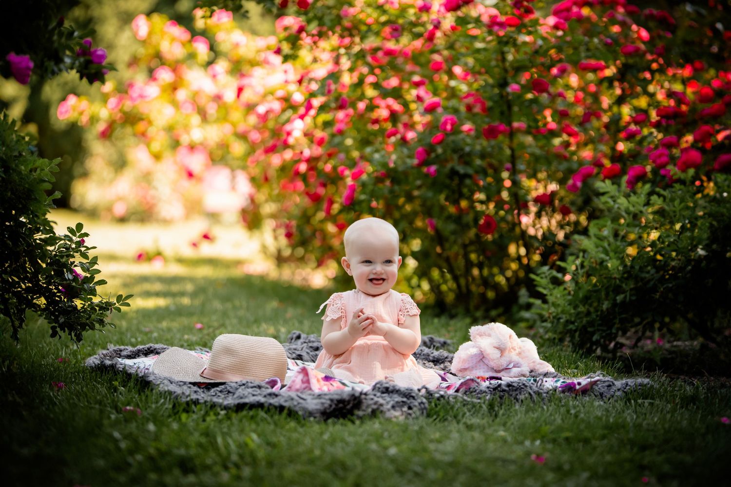 Outdoor garden photoshoot setup with blanket and roses during sunset. Photographer in Sioux Falls, SD
