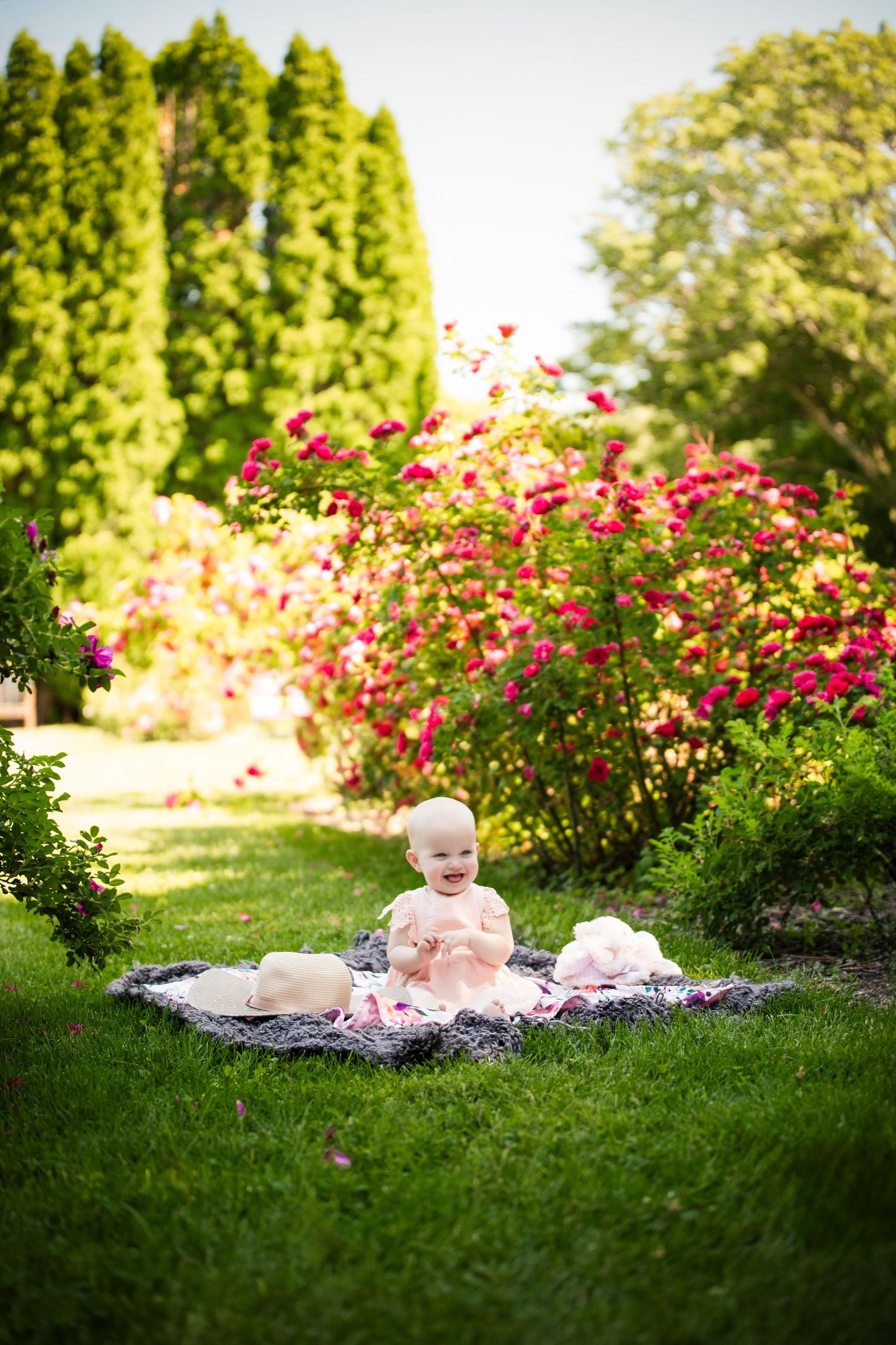 A small child sits on a blanket in a garden with blooming pink roses and evergreen trees in the background.
