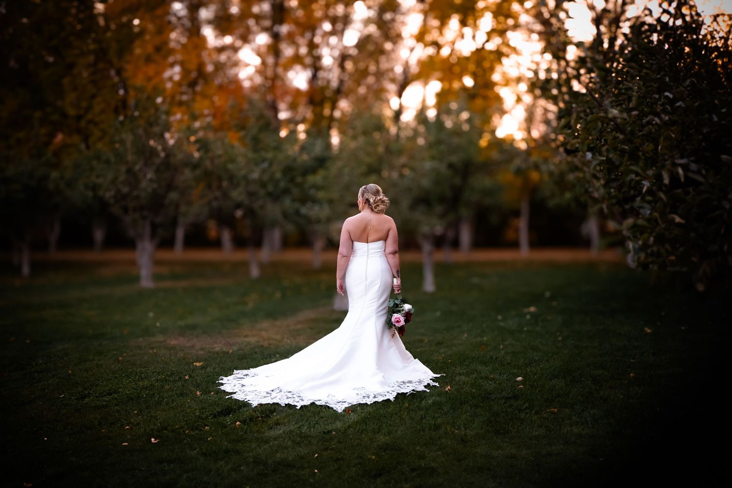 A series of bridal portraits showing a white wedding dress against sunset-lit trees in an outdoor garden setting.