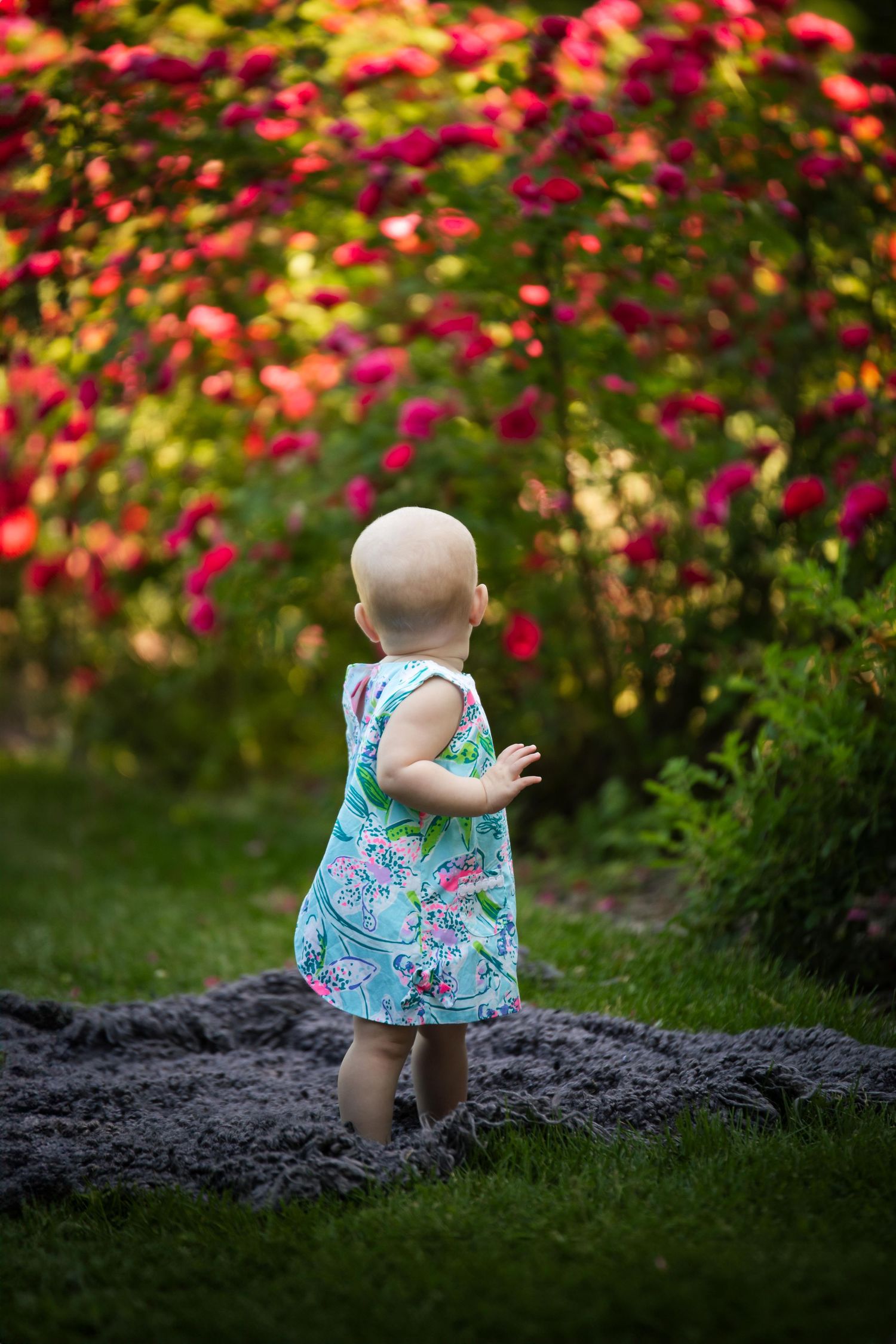Baby in blue floral outfit crawls on dark blanket with pink flowers in background.