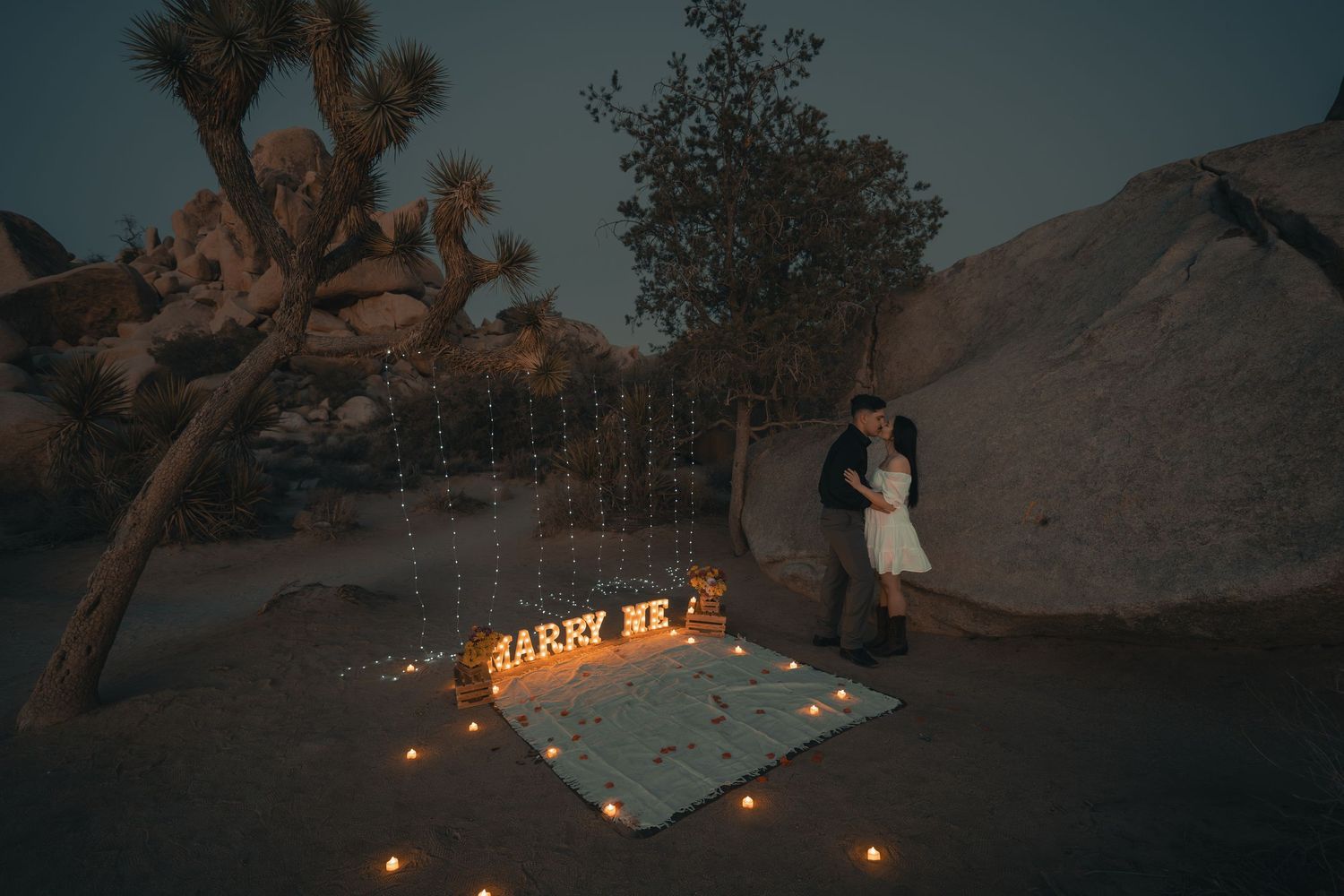 String lights illuminate a desert landscape at dusk with Joshua trees in the background.