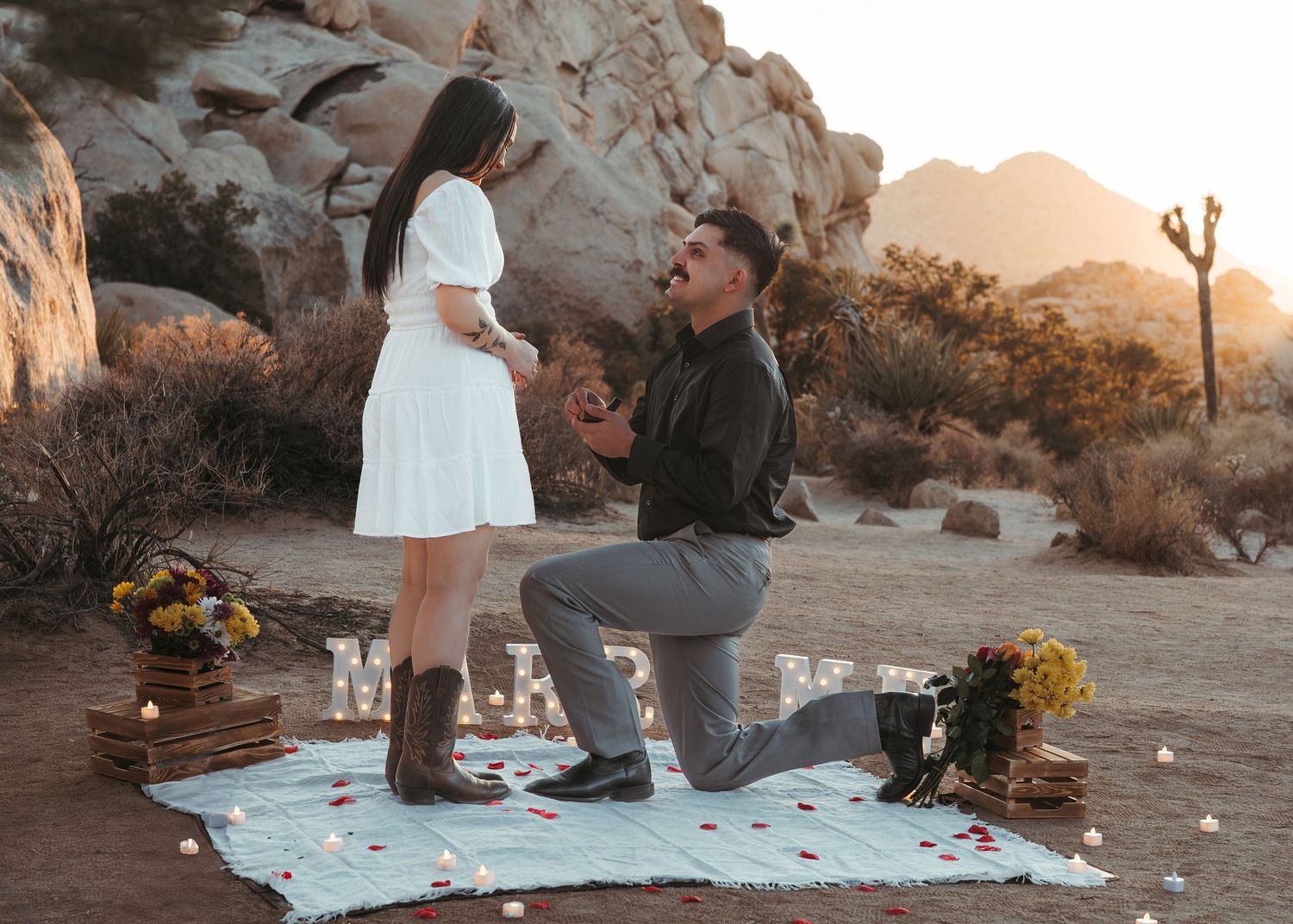 Joshua Tree, California, proposal.