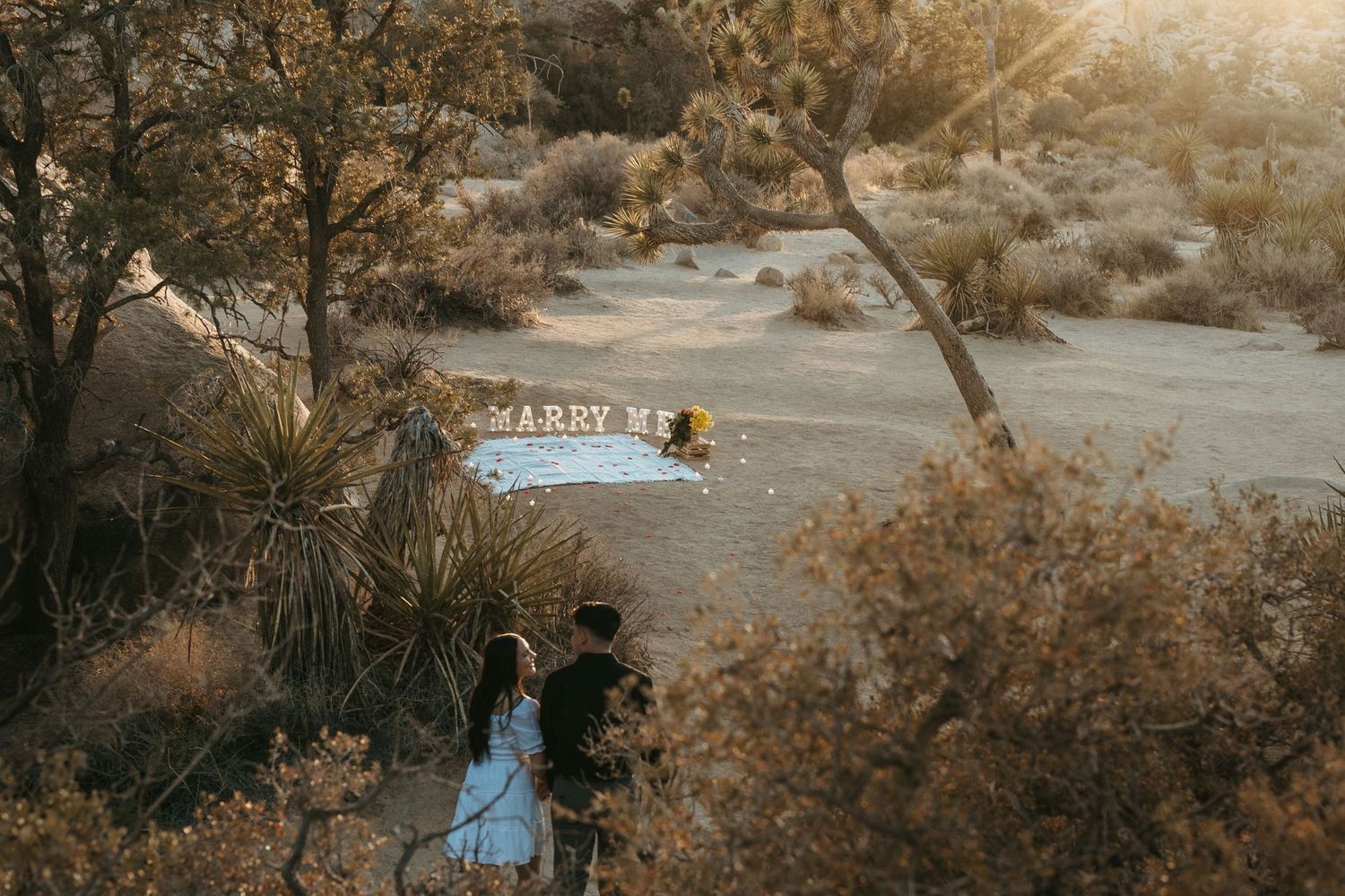 Desert landscape at golden hour with string lights and Joshua trees creating a romantic setting.