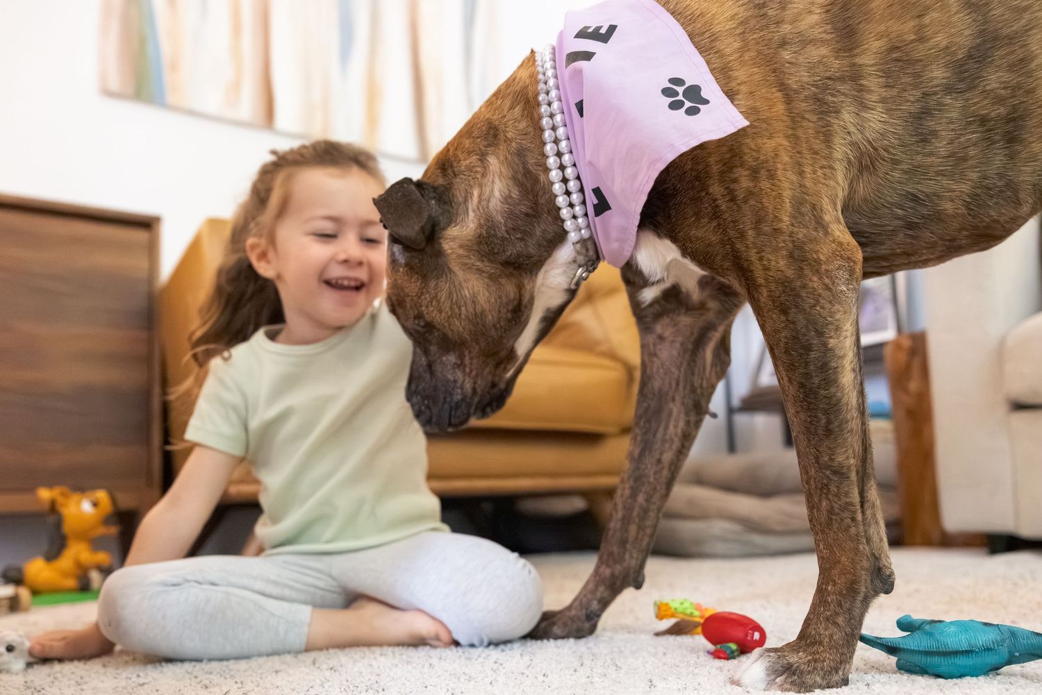 Young girl laughing joyfully as a brindle dog licks her face while playing on a living room carpet.