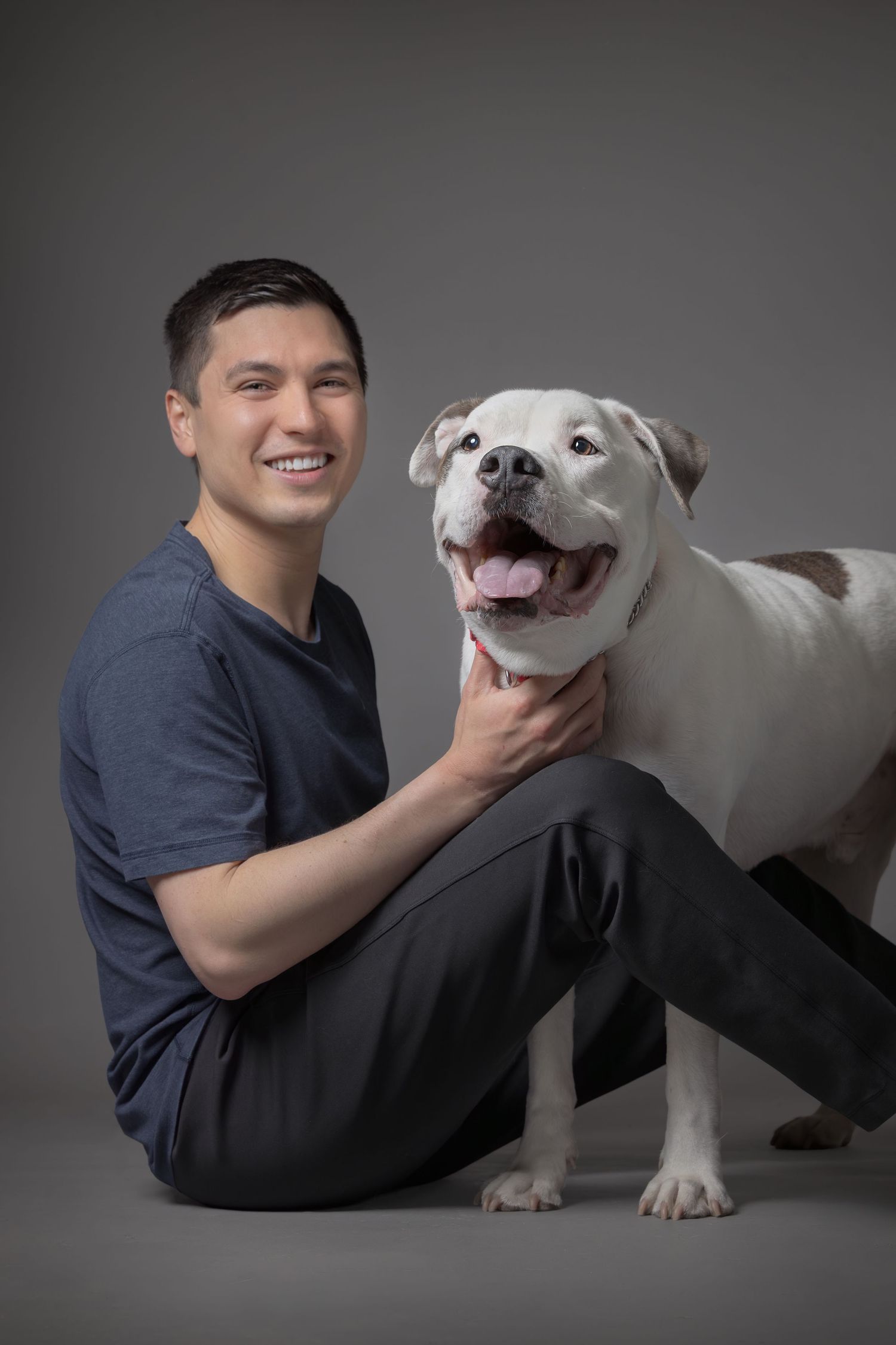 A series of five studio photos showing playful interaction between a person in dark clothing and a happy white pit bull dog.