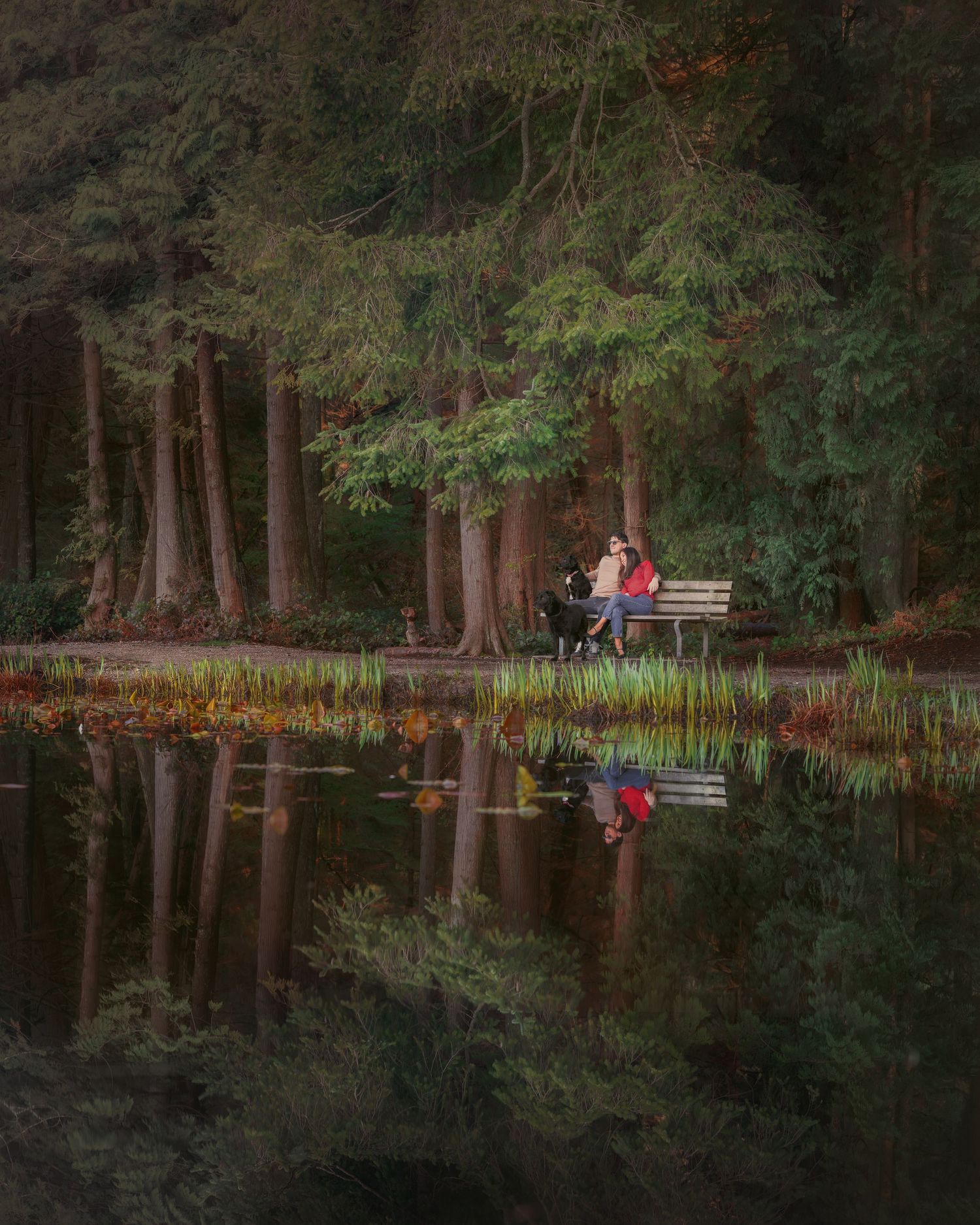 Couple sitting on a bench by a tranquil forest lake with stunning reflections of trees in calm water.