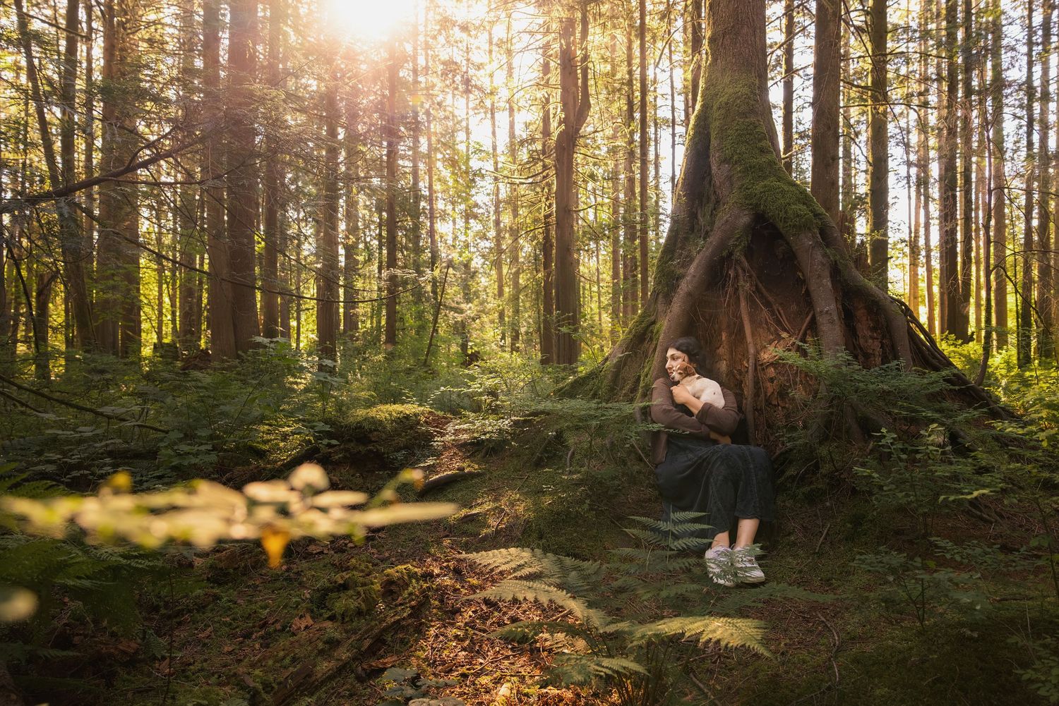 Person sitting at base of large tree in sunlit forest with ferns and moss-covered roots creating a magical hideaway.