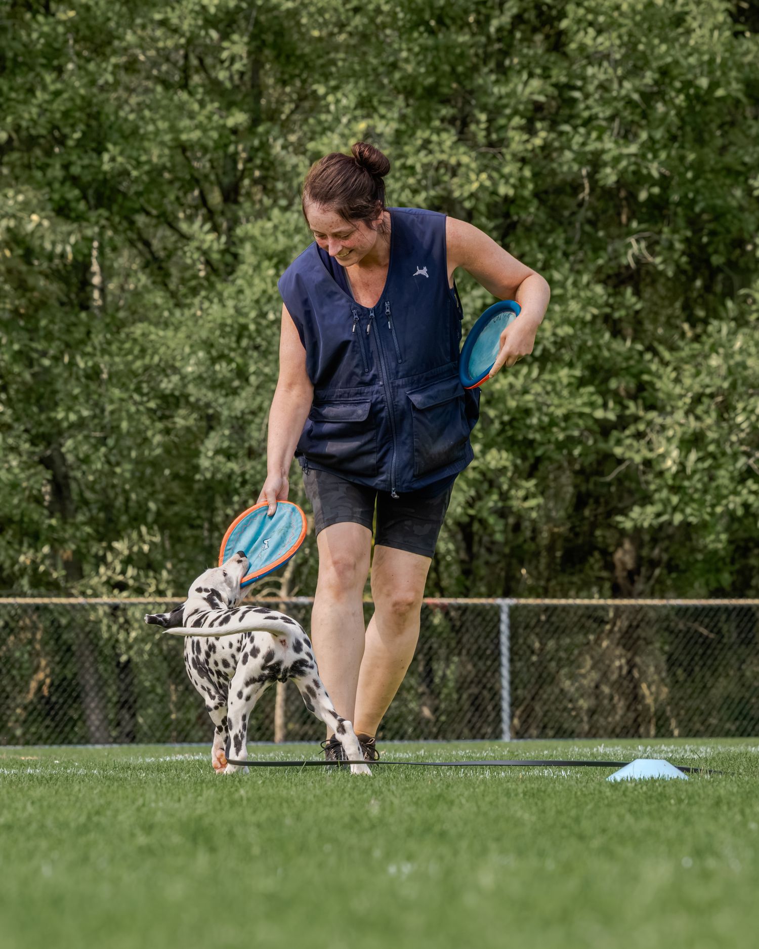 Woman in navy vest plays frisbee with a Dalmatian dog on green turf field outdoors.
