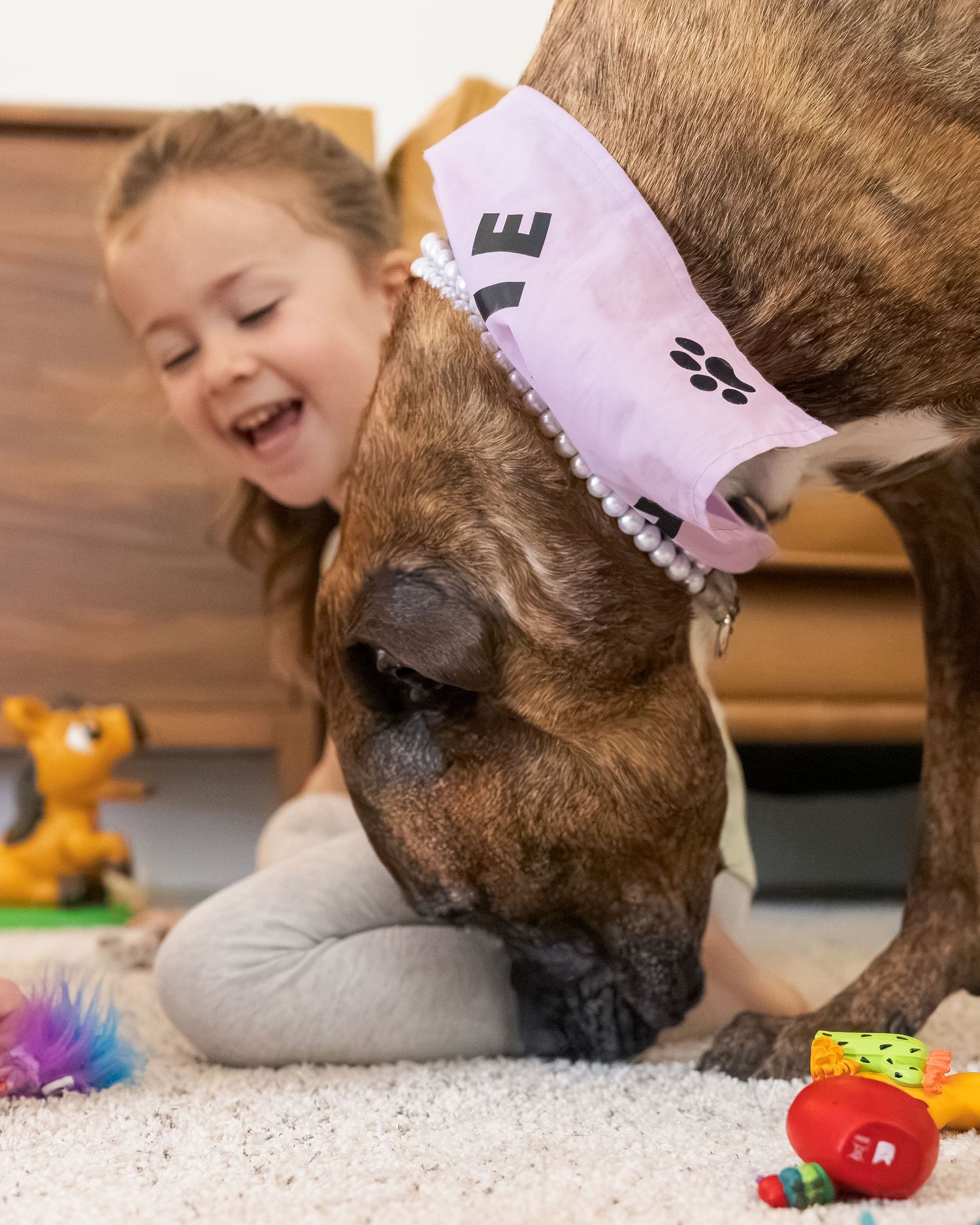 A laughing girl sits on carpet as a brindle dog wearing a pink party hat sniffs the floor near colorful toys.