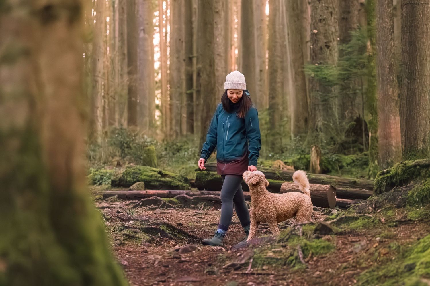 A hiker in a blue jacket walks through a misty forest trail with their dog on an autumn morning.
