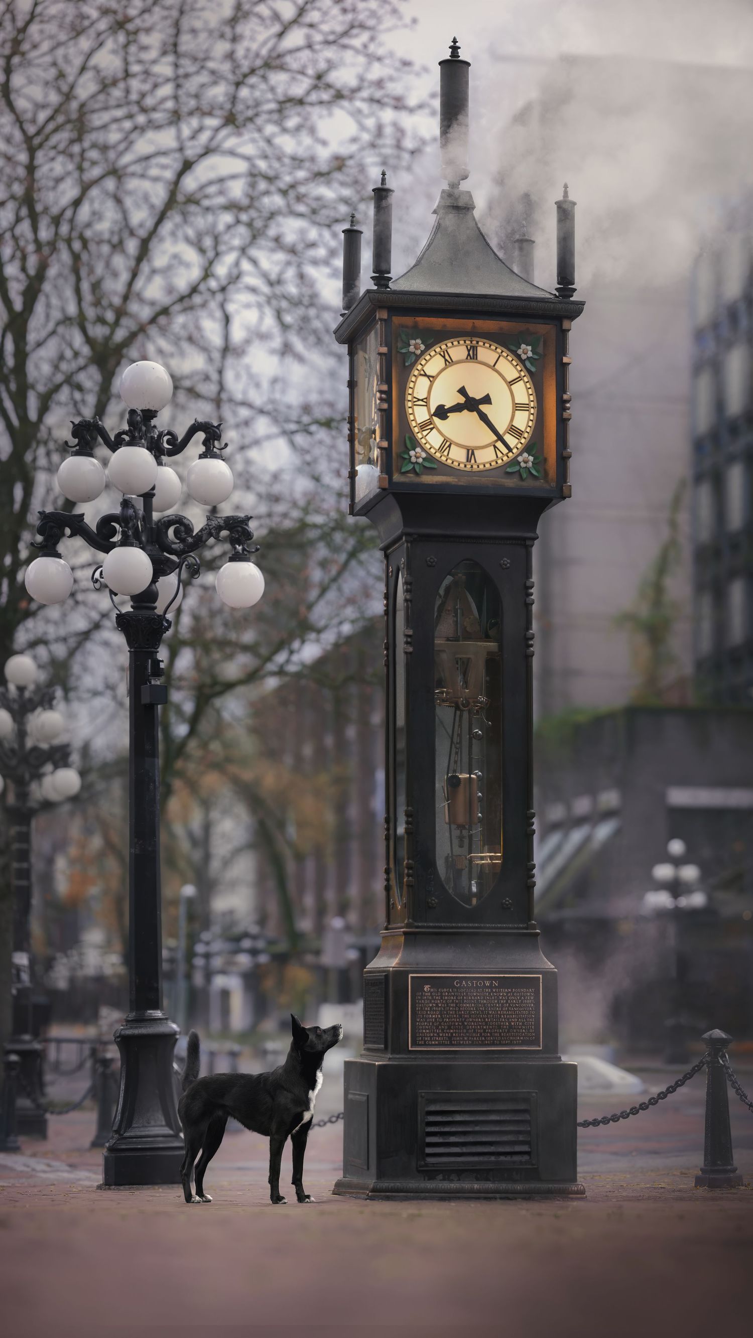 A black dog stands beside the historic Gastown Steam Clock on a misty day in Vancouver, BC, Canada.