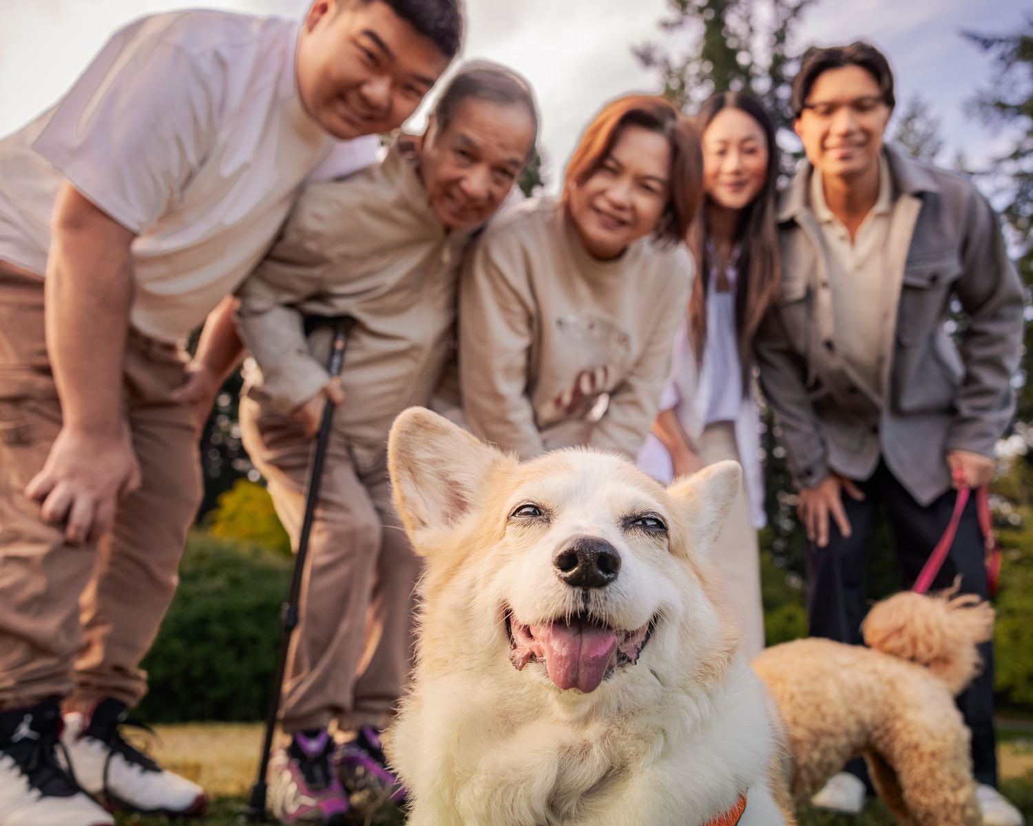 A happy white dog poses in the foreground while an Asian family smiles behind it in a lush green park.