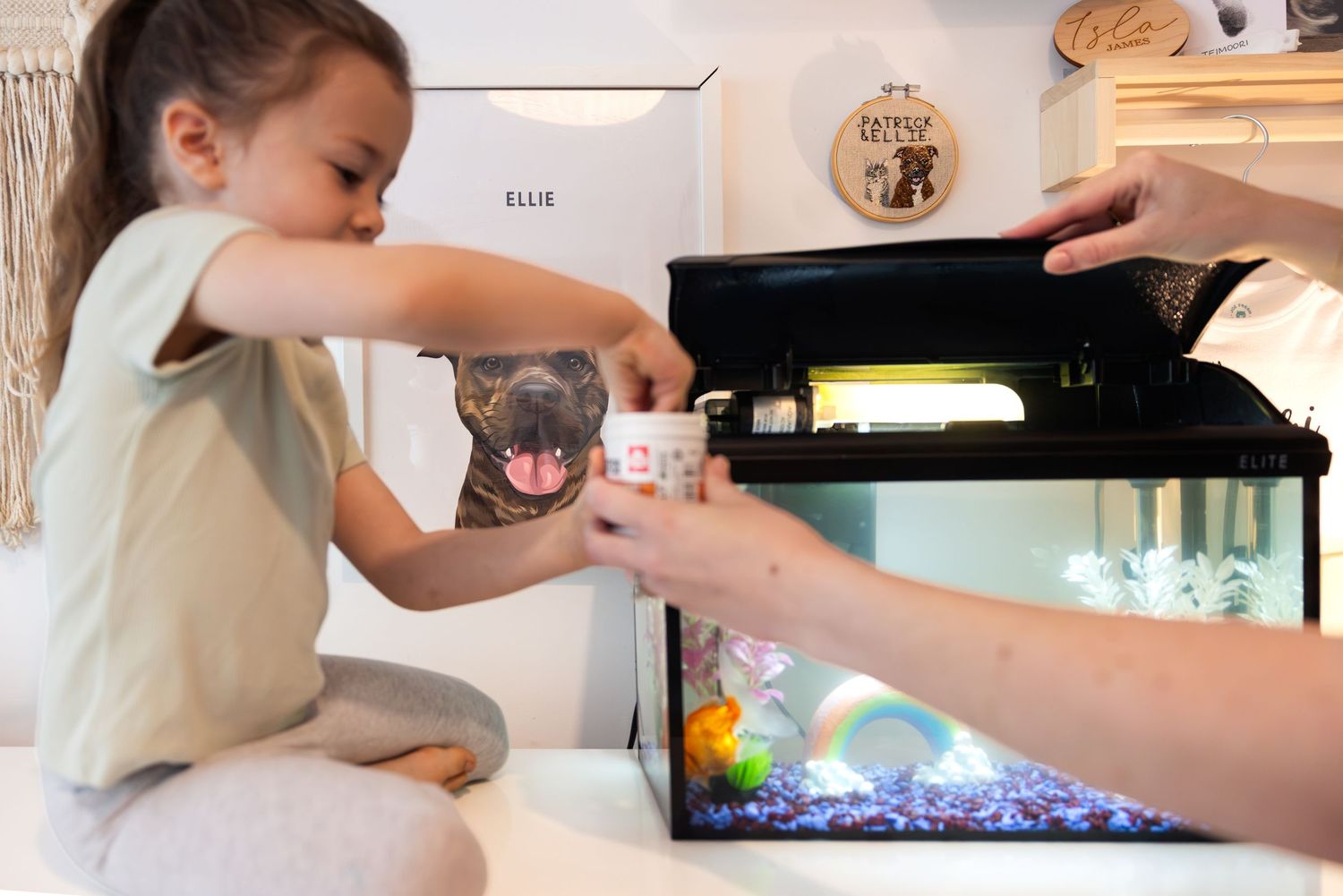 Young girl feeding fish in an aquarium tank with adult helping, colorful fish visible in decorated tank.