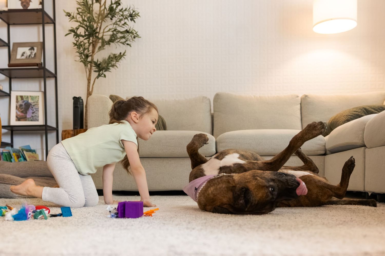 A young girl plays with colorful toys on a carpet while a brown dog rolls playfully on its back in a cozy living room.