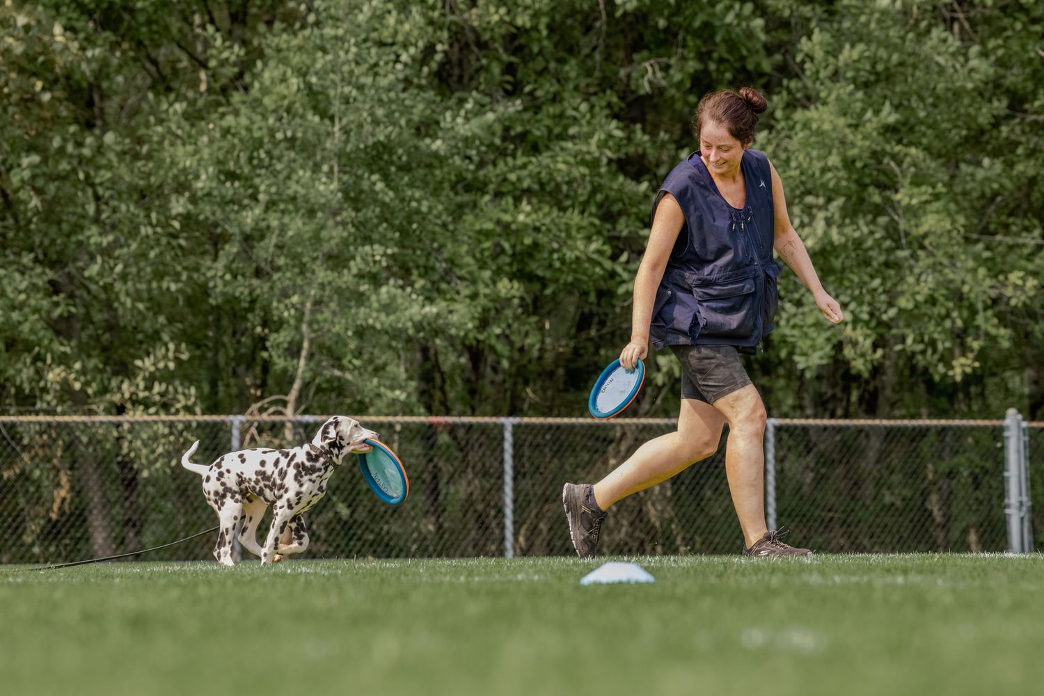Woman playing frisbee with a Dalmatian dog on a green grass field near a chain-link fence.