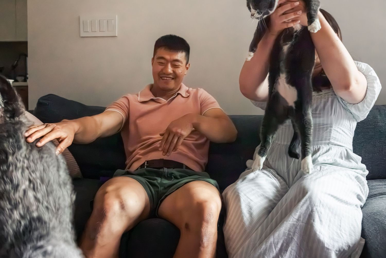 Man and woman sitting on sofa interacting with two cats, one gray and one black and white, in a cozy living room.