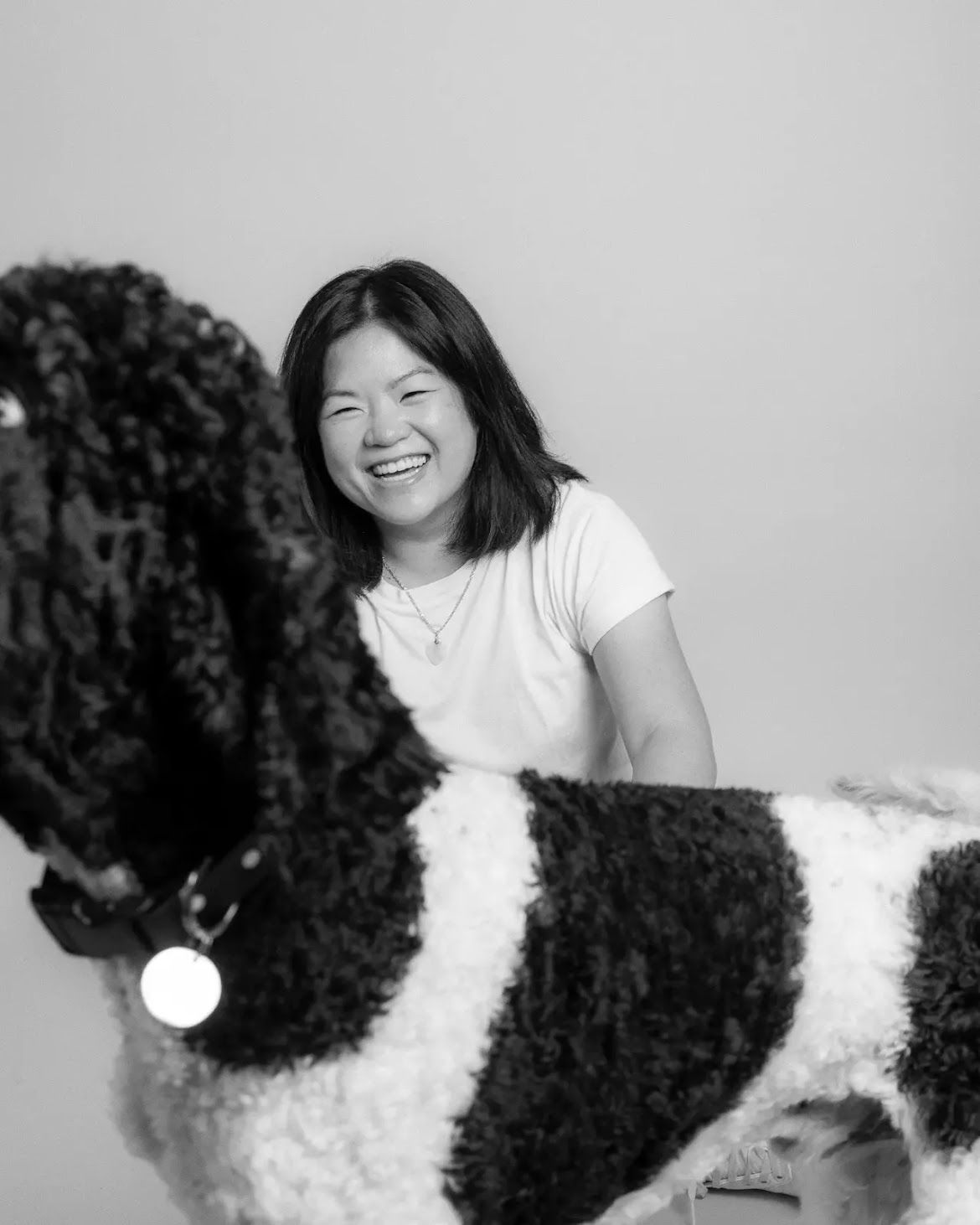 Black and white Portuguese Water Dog resting with companion in a series of candid poses.