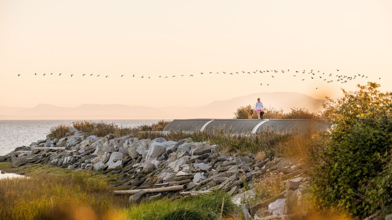 Rocky coastal landscape at sunset with a lone figure on a path, string lights, and birds flying over calm waters.