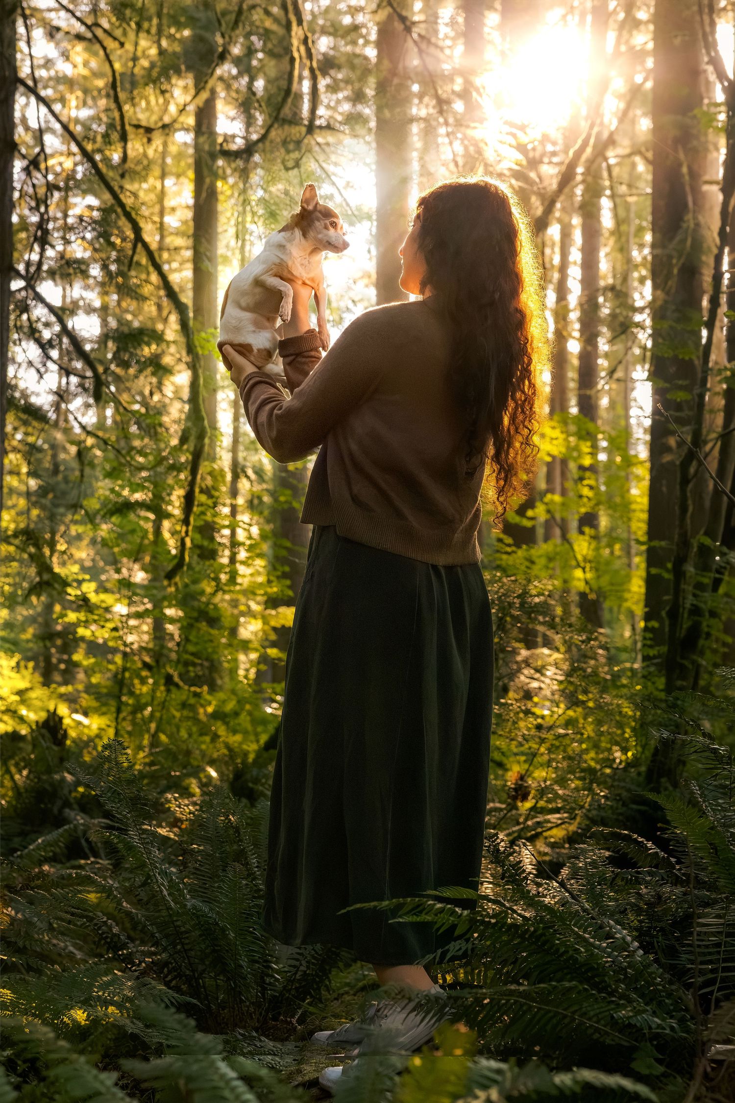 Woman holding a small dog in a sunlit forest surrounded by ferns and tall trees at golden hour.