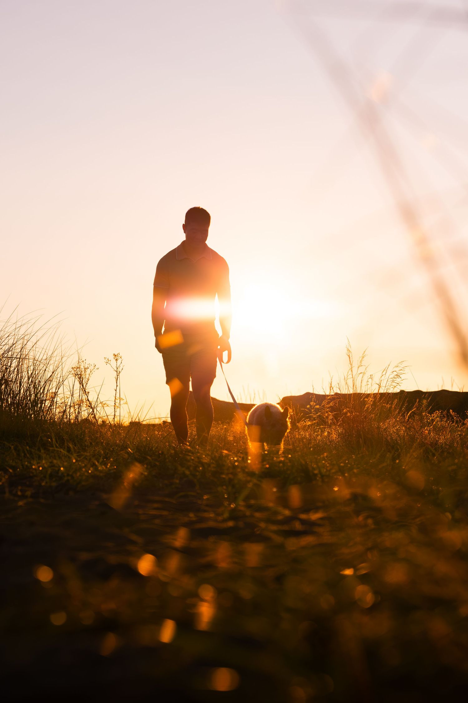 Silhouette of a man walking his dog on a leash along a rural path at golden sunset.