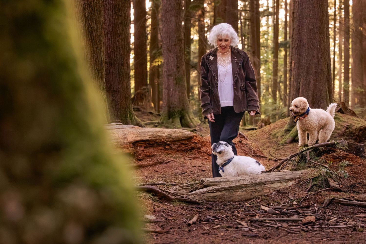 Smiling white-haired woman in a dark jacket walks two small white dogs along a sunlit forest trail among tall evergreen trees.