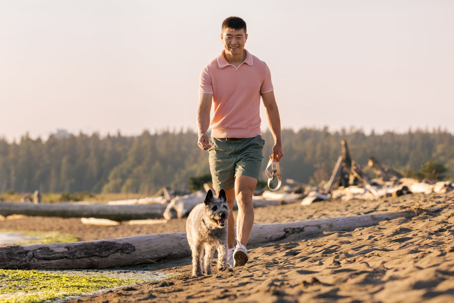Man in pink polo and green shorts walking a dog on a sandy beach with driftwood and trees in background.