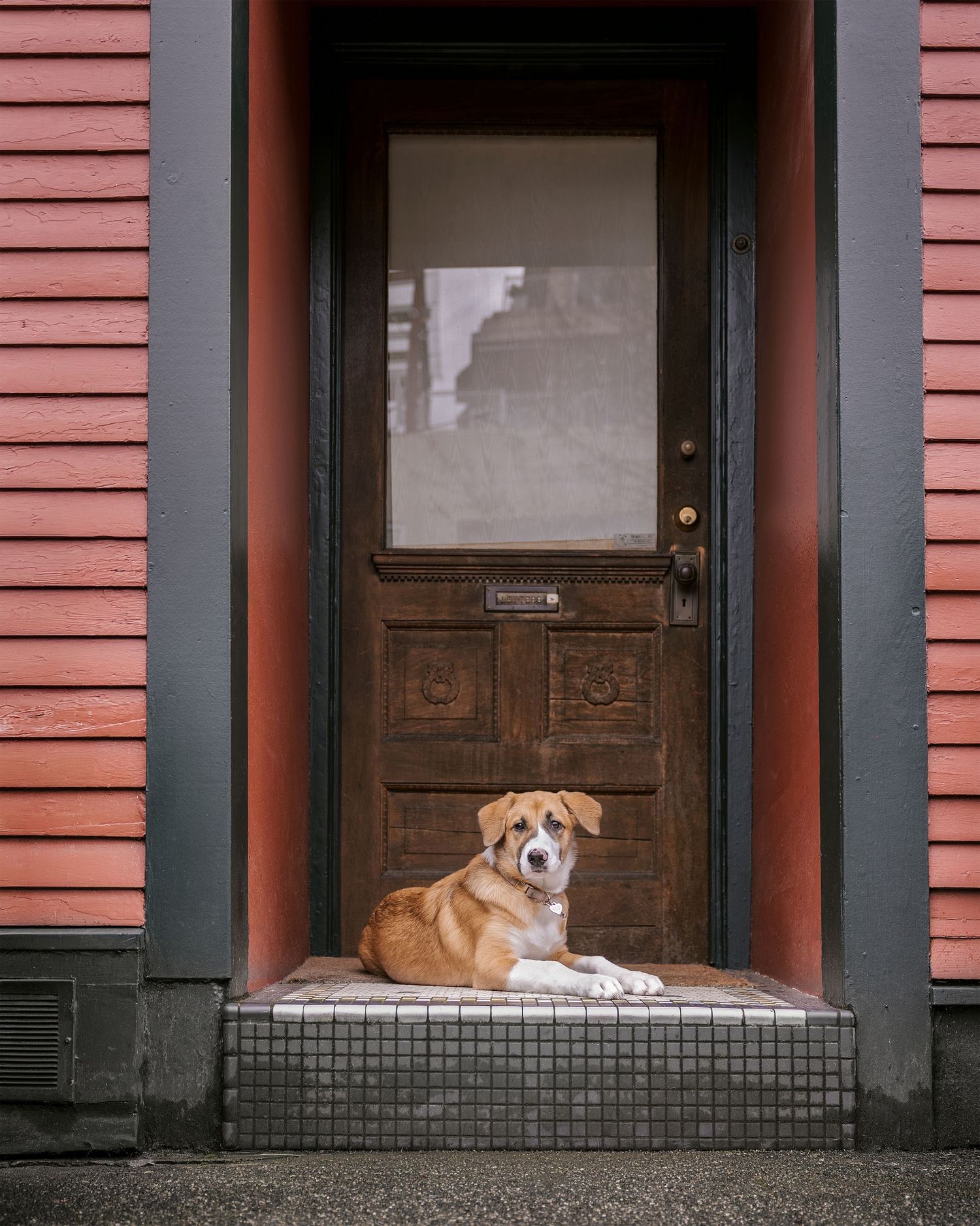 A brown and white dog resting on a tiled doorstep in front of a ornate wooden door with a red building facade.