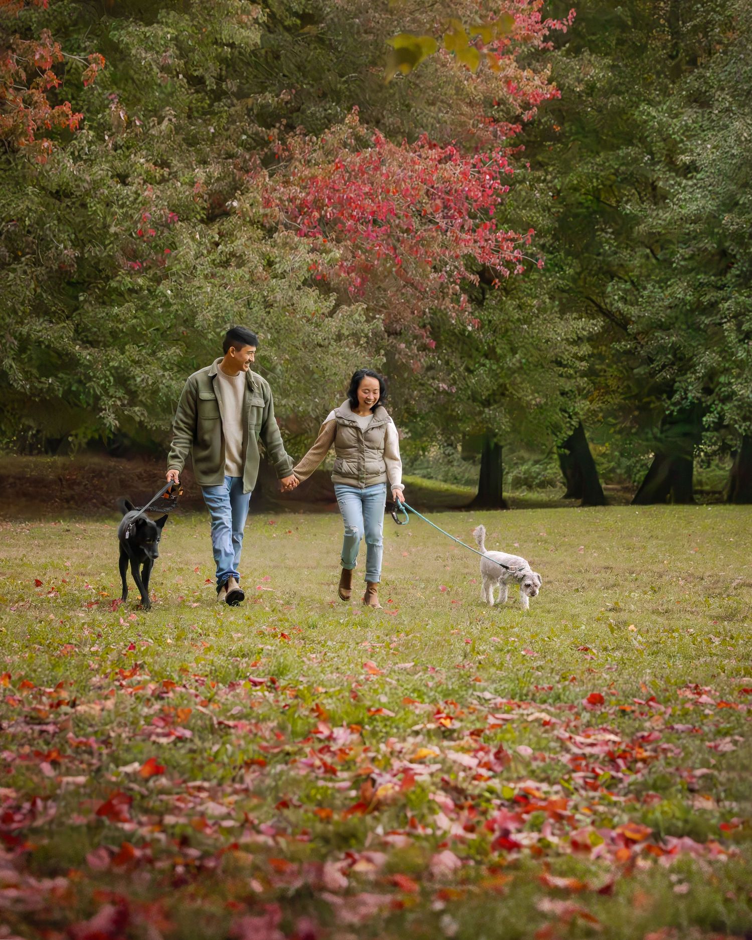 Couple holding hands walking two dogs in a park surrounded by colorful autumn foliage and red fallen leaves.