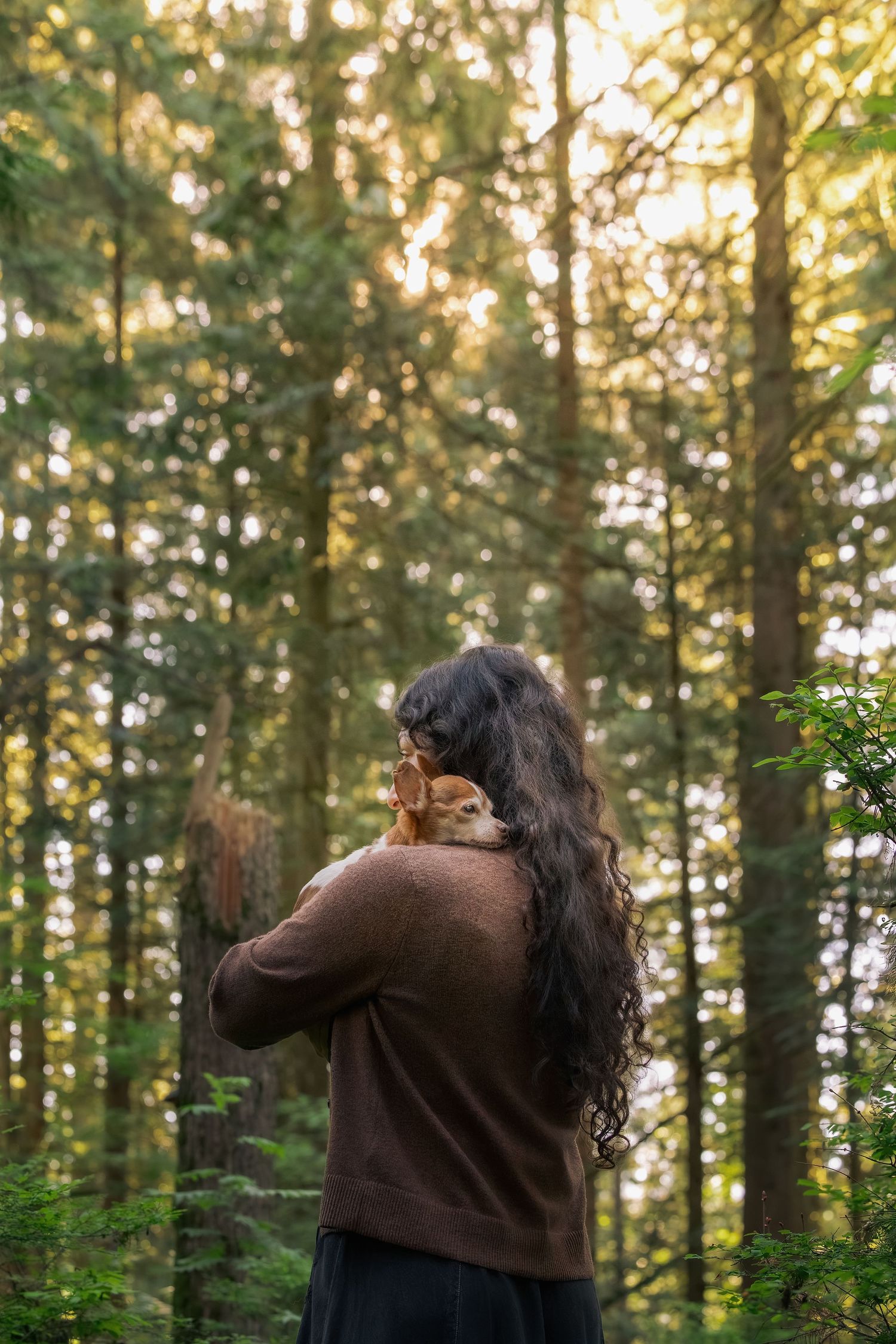 Woman with long dark hair holds a fawn in a sunlit forest surrounded by tall green trees.
