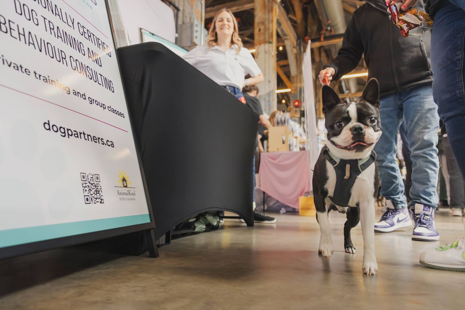 Boston Terrier dog at a dog training and behaviour consulting booth at an indoor pet event in Canada.