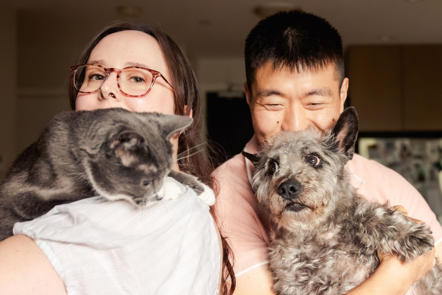 Smiling couple holding a gray cat and a gray fluffy dog together indoors.