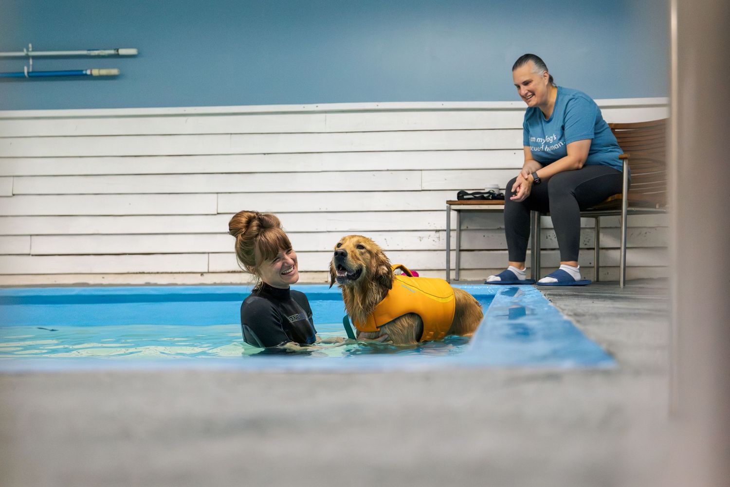 A dog in a life jacket receives hydrotherapy in an indoor pool, assisted by a therapist while another observes nearby.