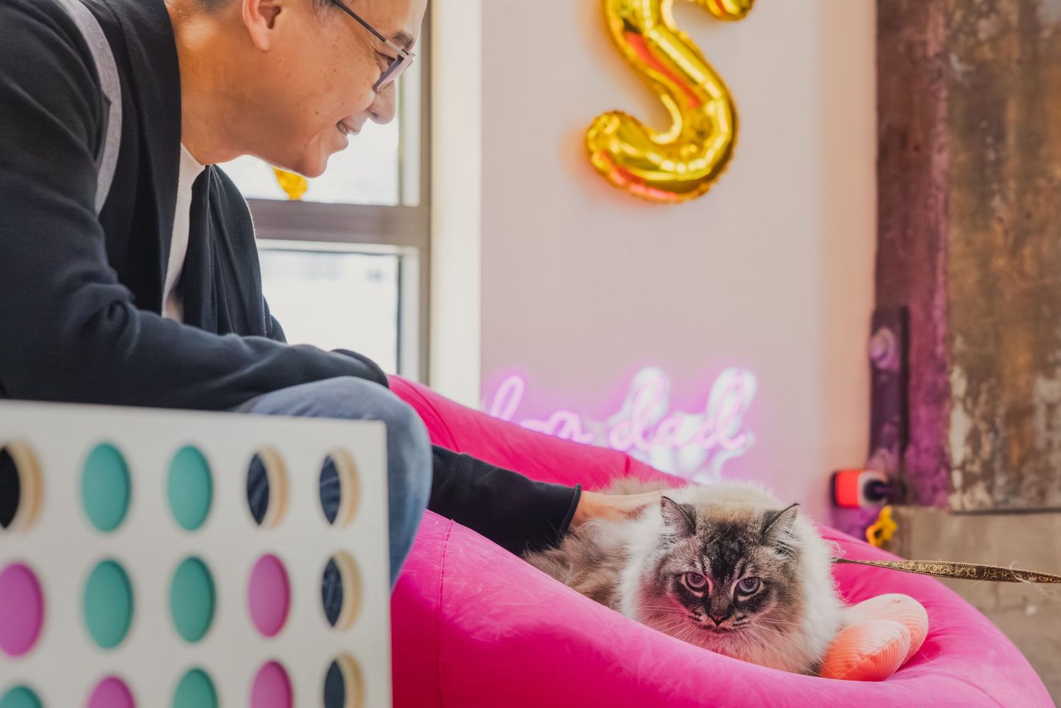 Man interacting with a fluffy cat resting on a pink bed at a cat cafe with colorful decor.