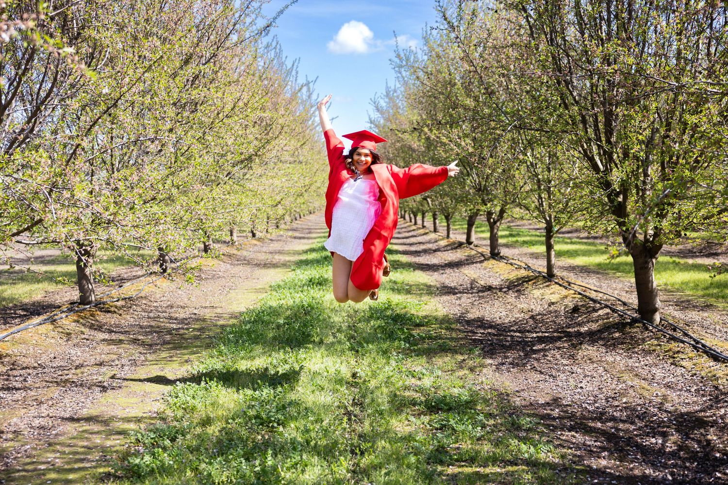 A figure in a bright red graduation gown leaps joyfully between rows of blossoming spring trees in an orchard.