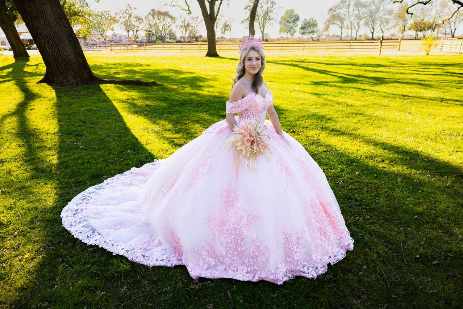 An elaborate pink ball gown with lace details spreads across green grass under trees.