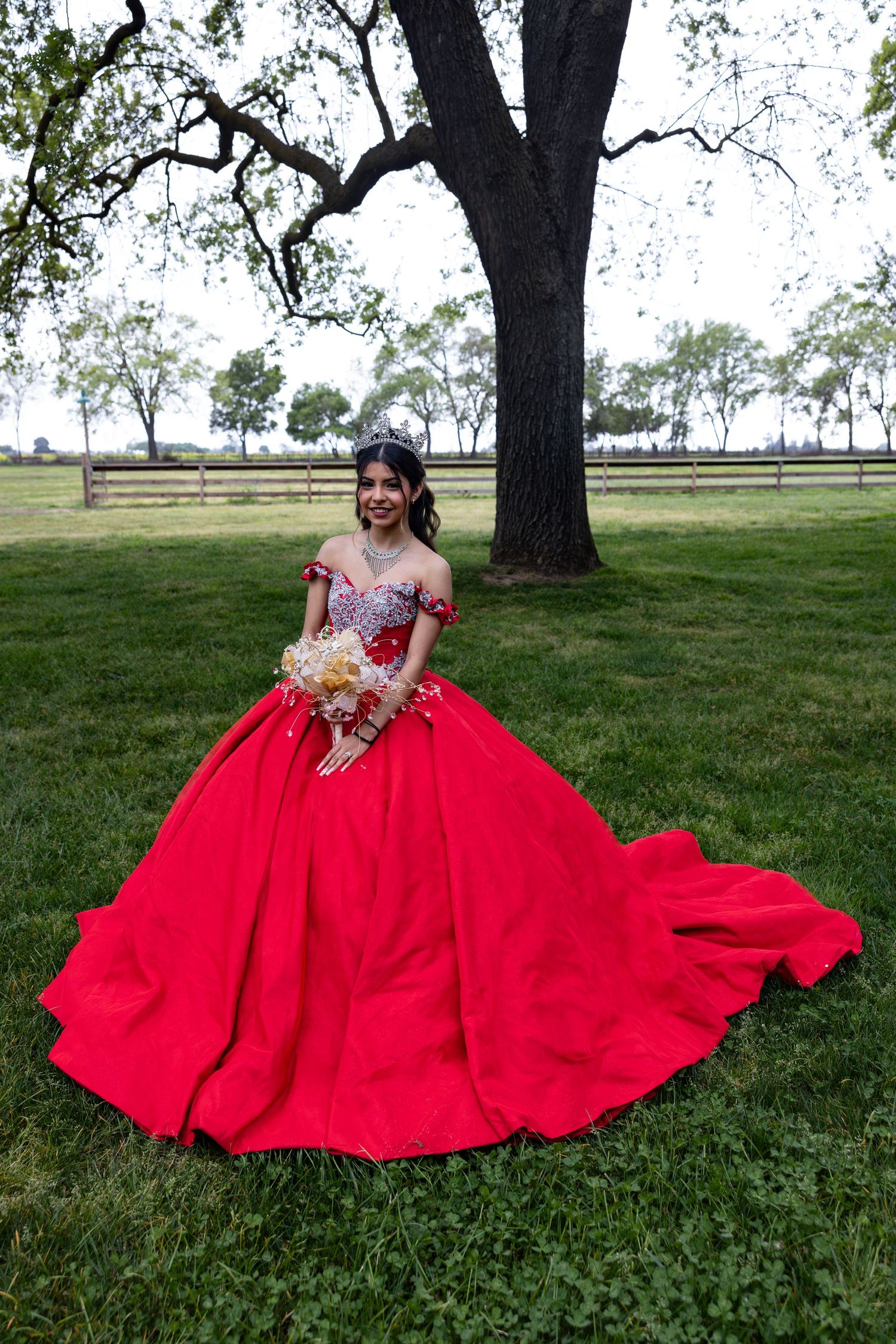 A stunning red ballgown with a full skirt spreads across a grassy field beneath a large tree.
