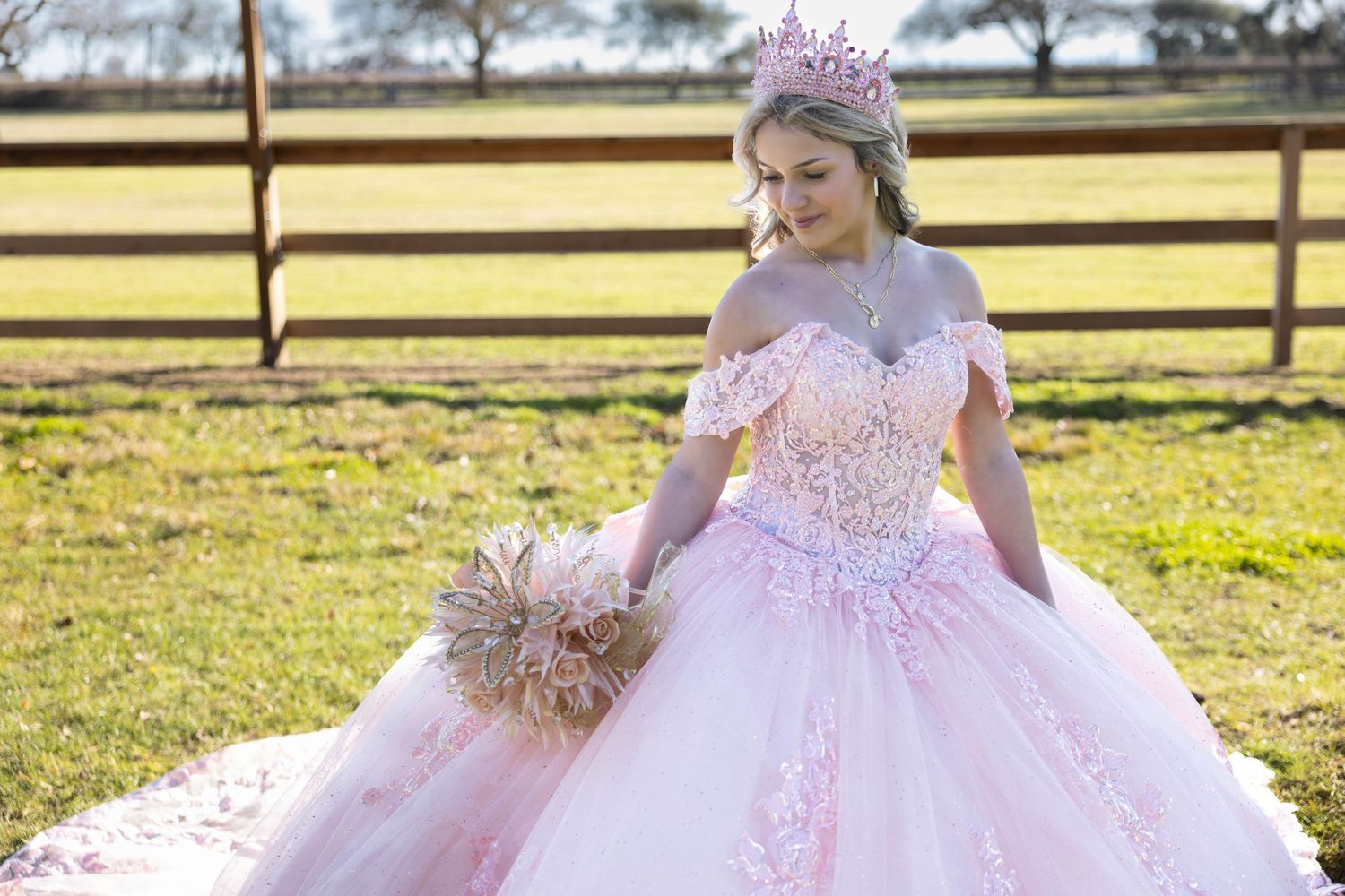 Enchanting princess ball gown in soft pink tulle with delicate lace details and crystal tiara in outdoor garden setting.