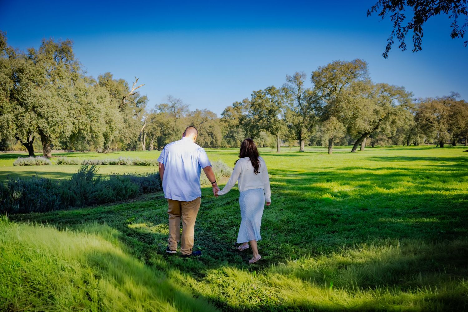 Two people walk hand in hand through a scenic park with tall green grass and scattered oak trees on a sunny day.
