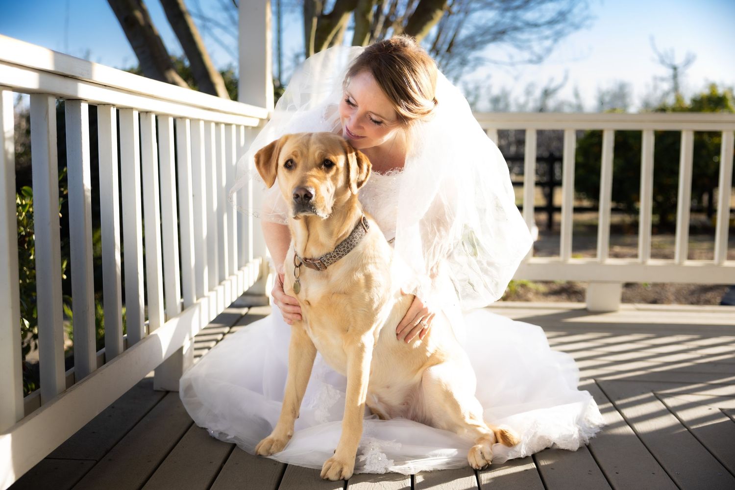 Sweet golden retriever poses with bride on white porch deck in Acampo before the wedding ceremony.
