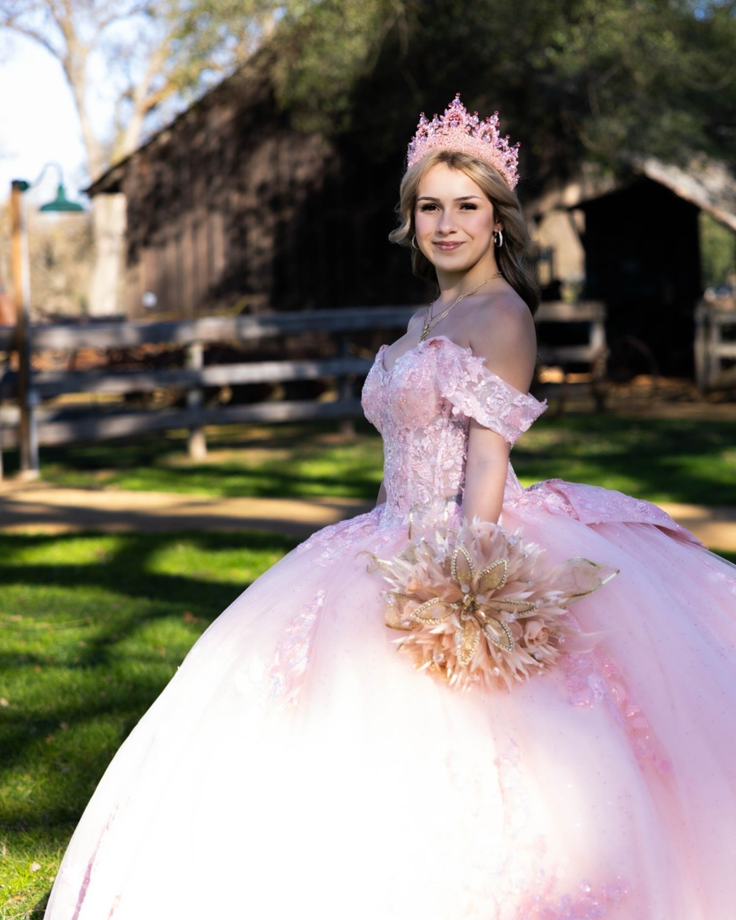 Enchanting princess ball gown in soft pink tulle with delicate lace details and crystal tiara in outdoor garden setting.