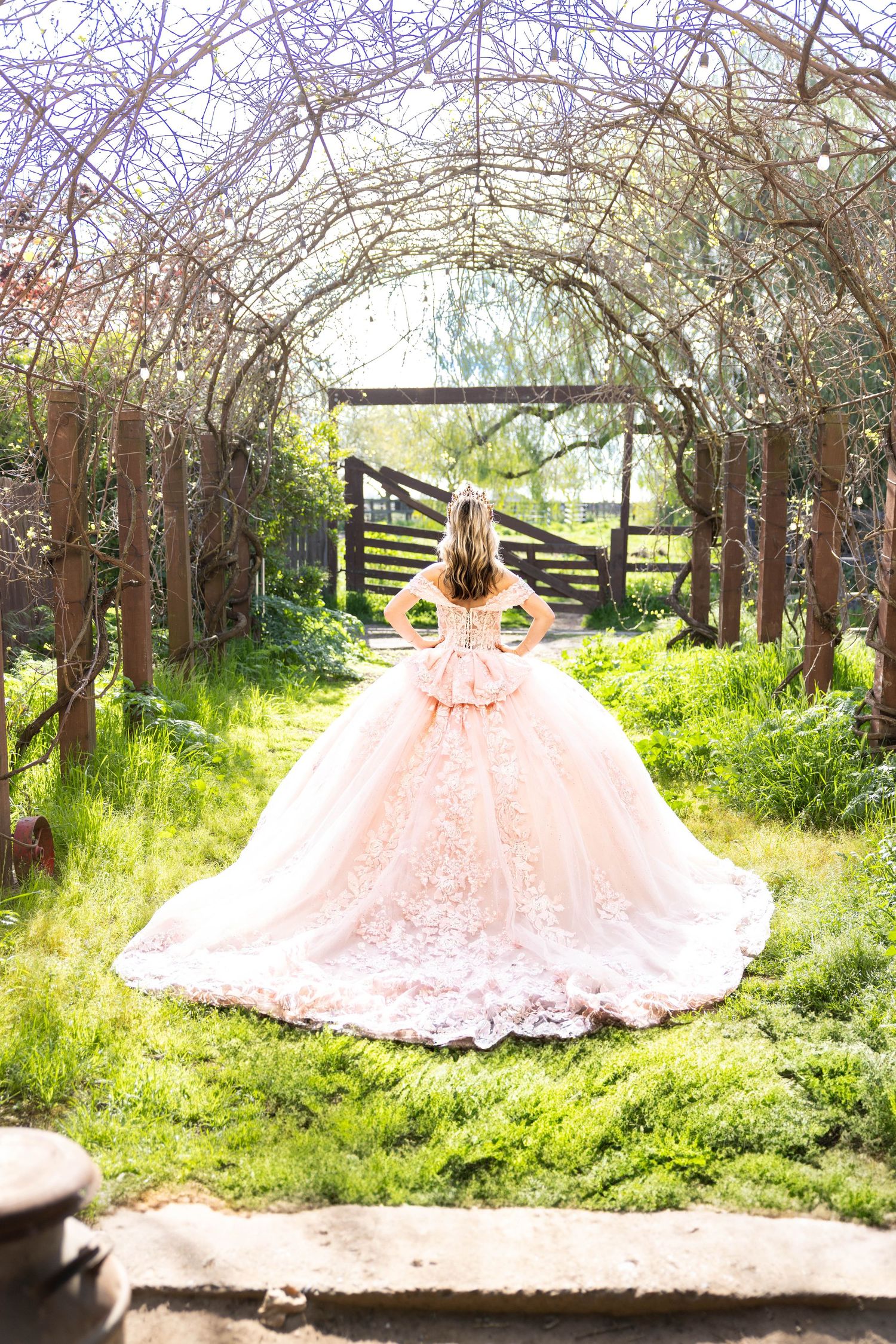 Beautiful pink lace ballgown with flowing train photographed under a natural archway of flowering branches in a garden setting.