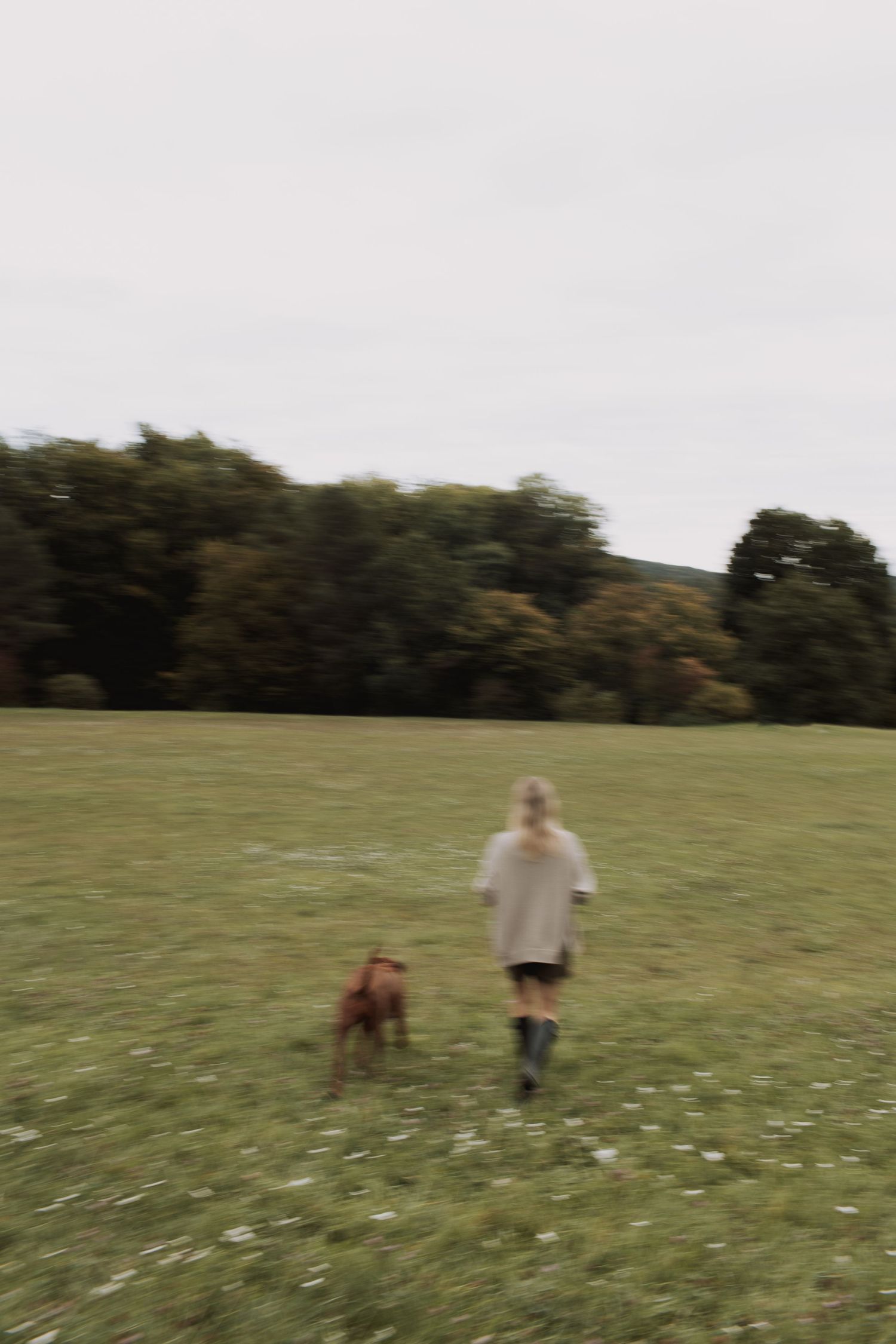 A person and dog walking together across a grassy meadow on an overcast autumn day.