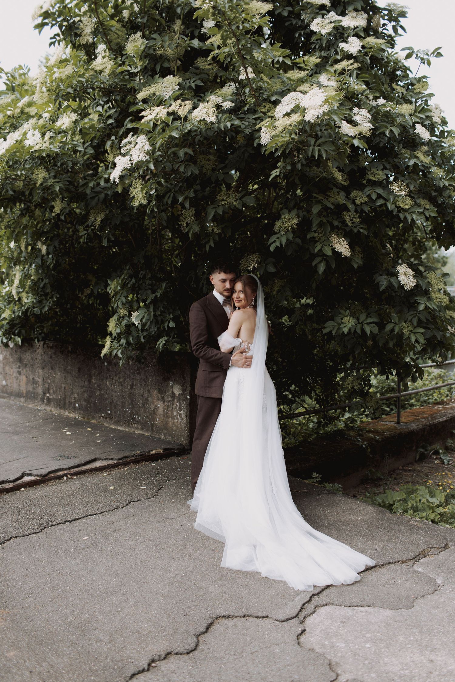 A romantic wedding portrait under blooming white flowers on a garden path.