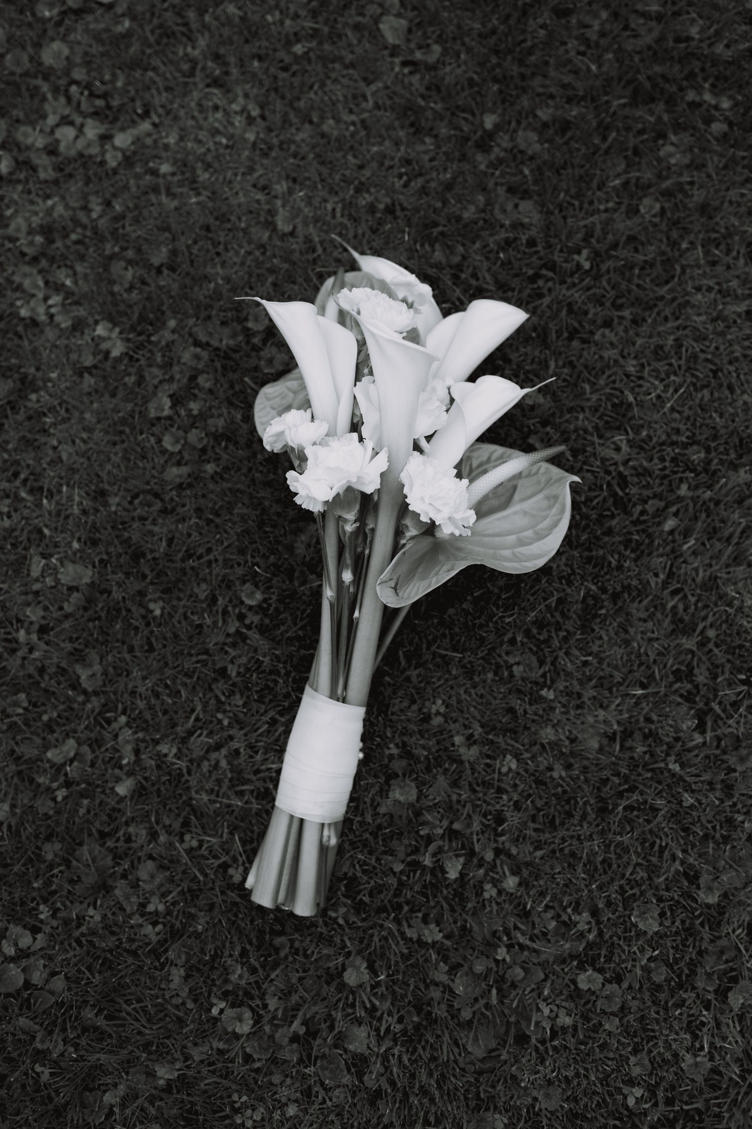 White calla lily bouquets arranged against a dark background.