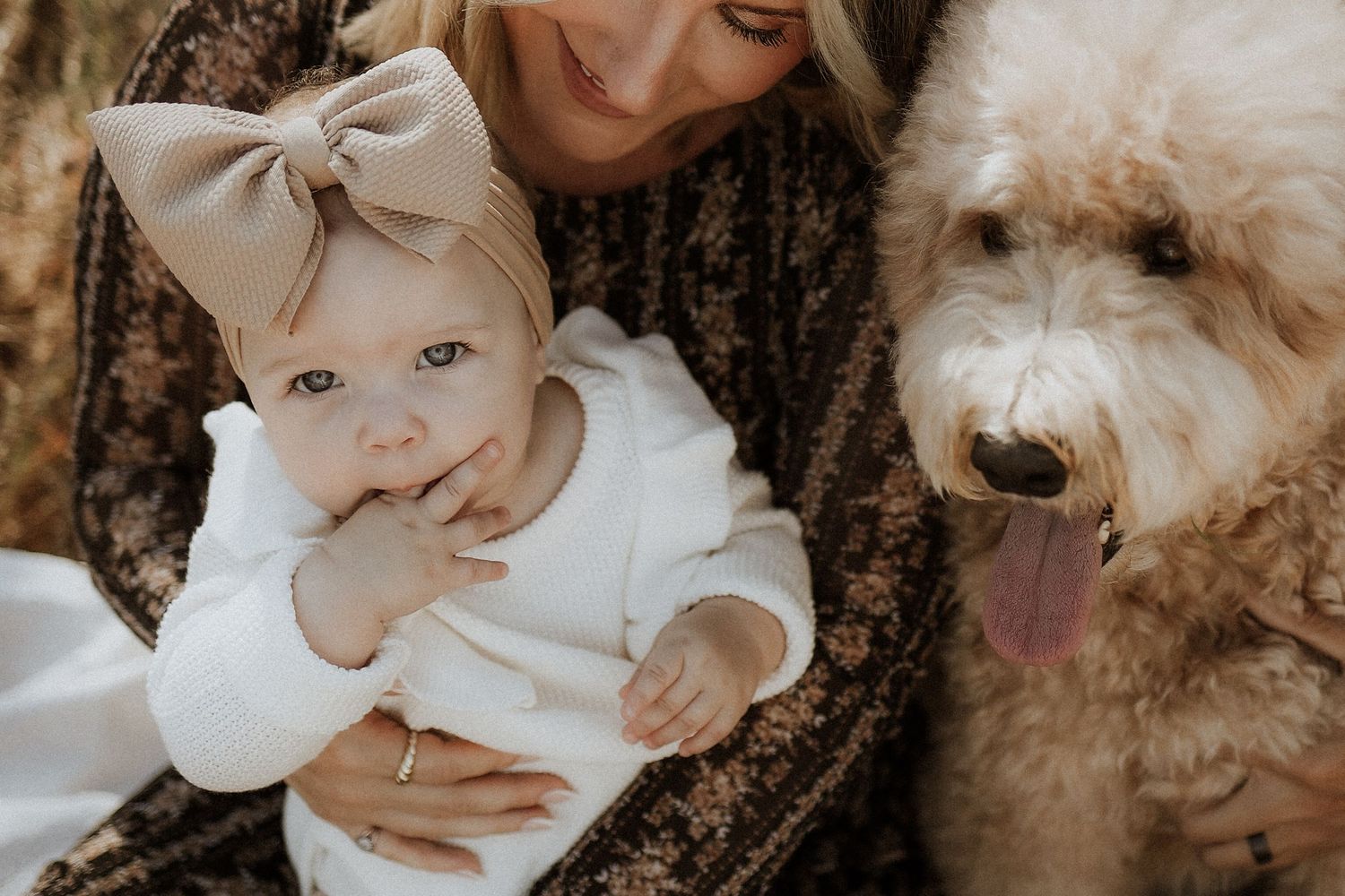 baby and puppy portrait, austin, family