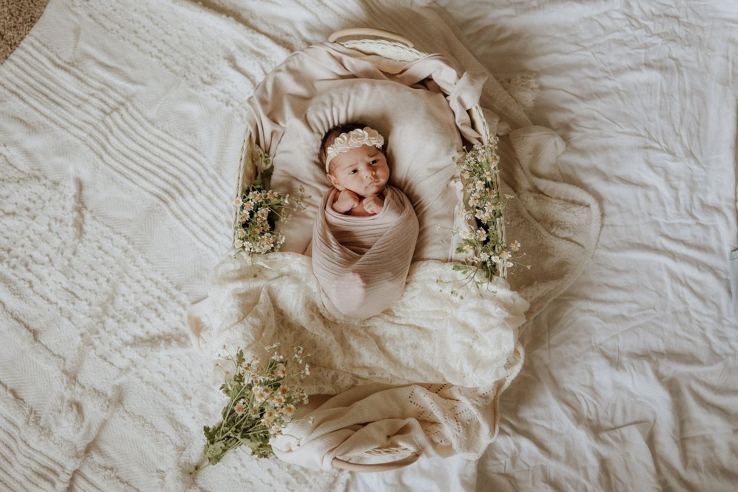 newborn baby portrait, flowers, aesthetic, baby girl